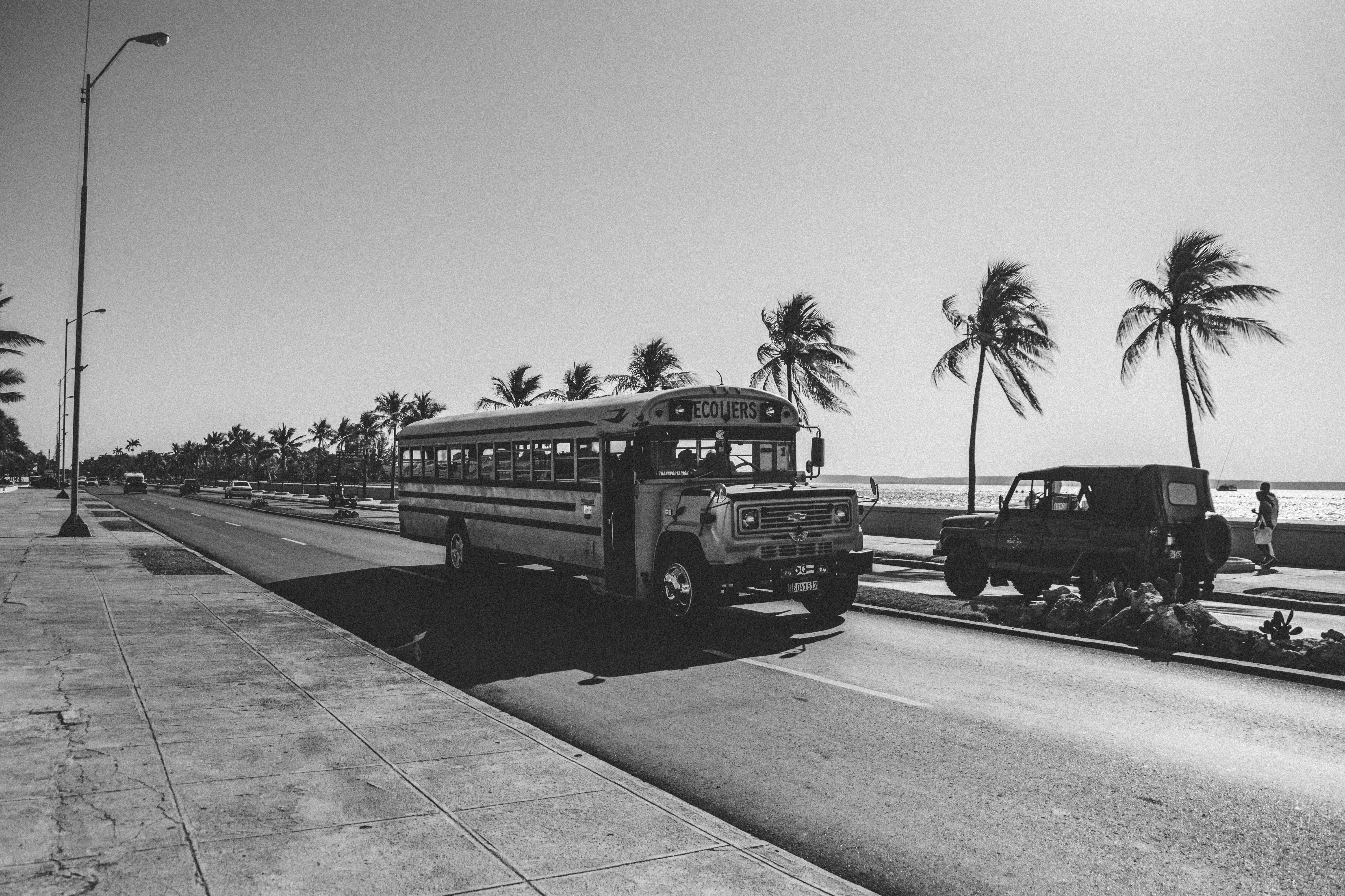 coconut, journey, sky, crossing, black and white, bus, school, transportation, public transportation, road, outdoors, photo, land vehicle, no people, photography, HD Wallpaper
