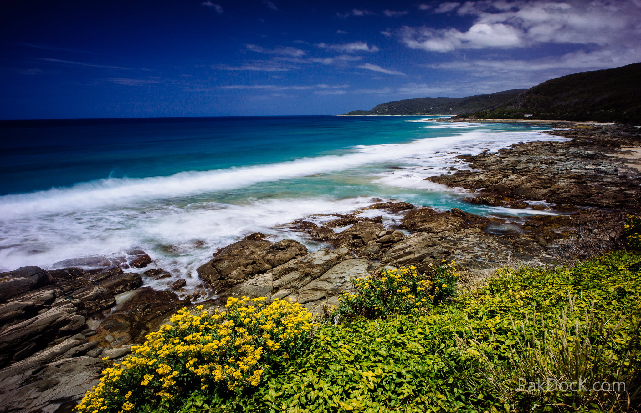 trip, awesome, flowers, colors, petaled, a6000, velvia, road, sony, seashore, roadtrip, sea, drive, ocean, landscape, film, voigtlander, wave, summer  surf, HD Wallpaper
