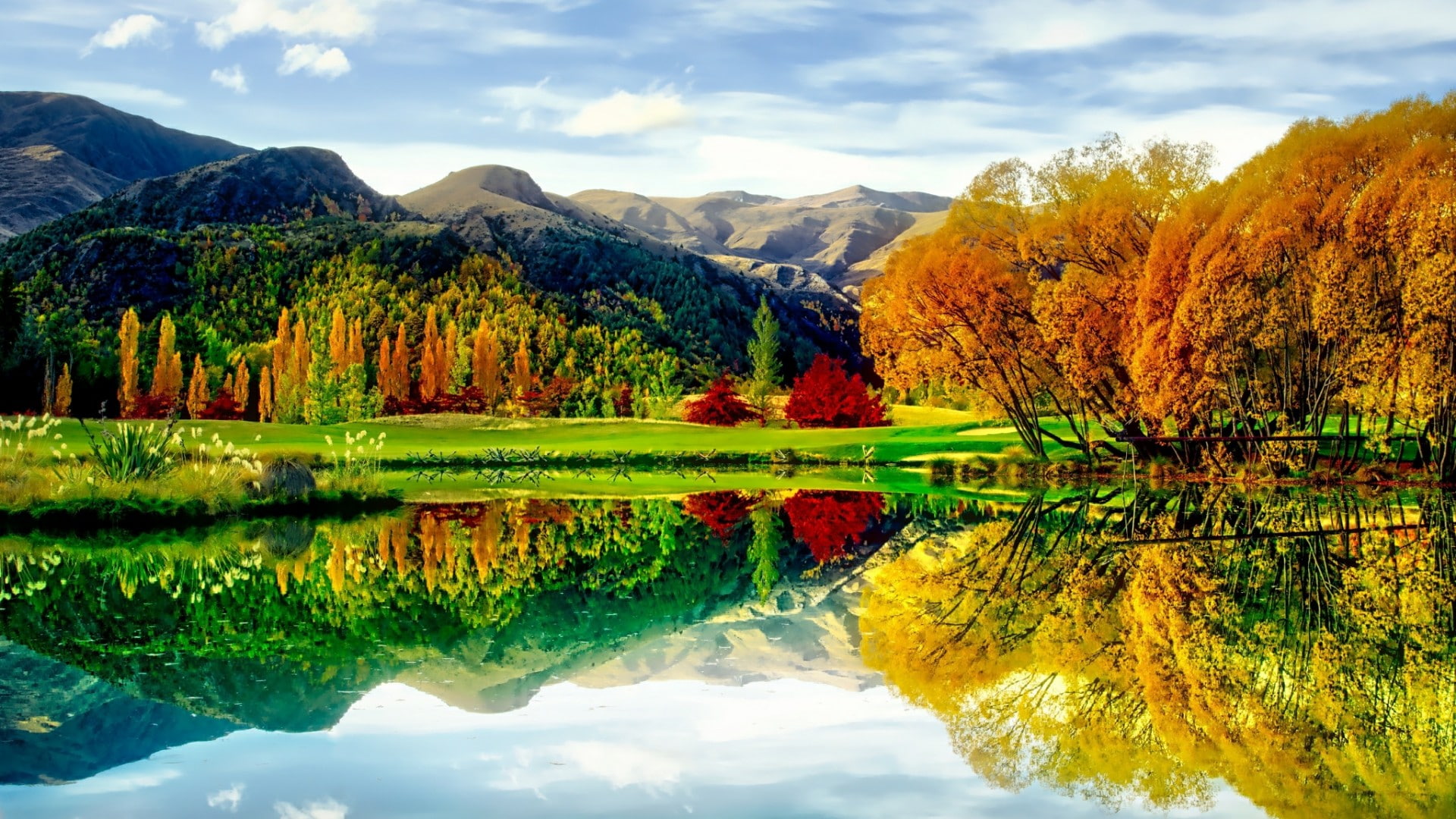 water, mountain, wilderness, leaves, lake wakatipu, 1080P, nature, reflection, colorful, new zealand, autumn, vegetation, landscape, sky, lake, HD Wallpaper
