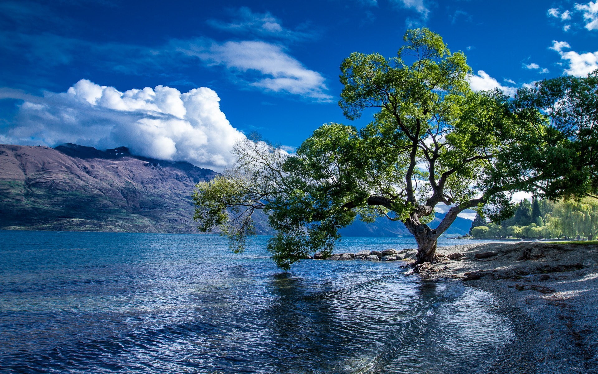 lake wakatipu, 1080P, HD Wallpaper