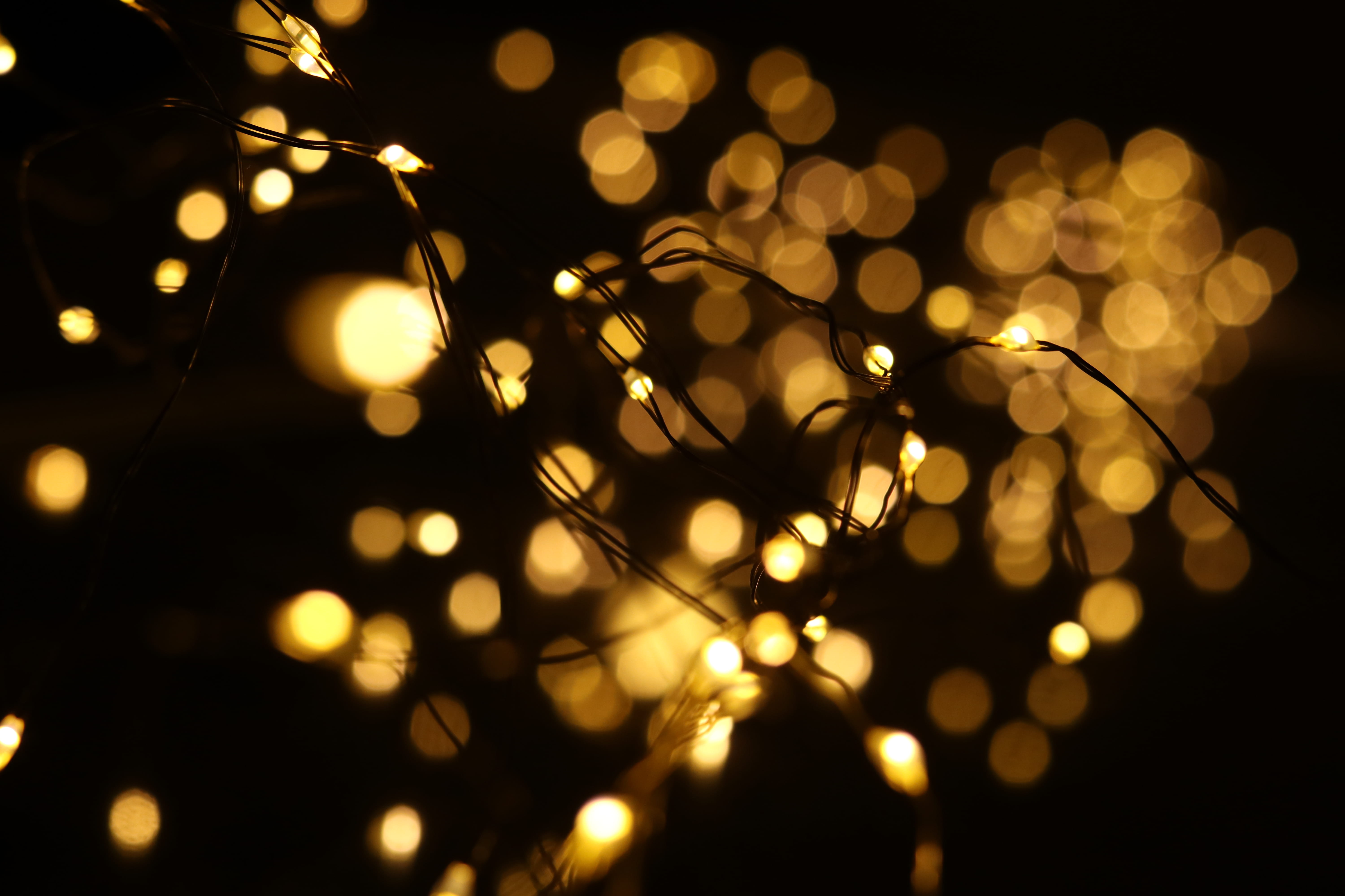 5K, lens flare, electricity, electric light, sparkle, lights, canon, pattern, no people, black, light, selective focus, illuminated, decoration, christmas lights, HD Wallpaper