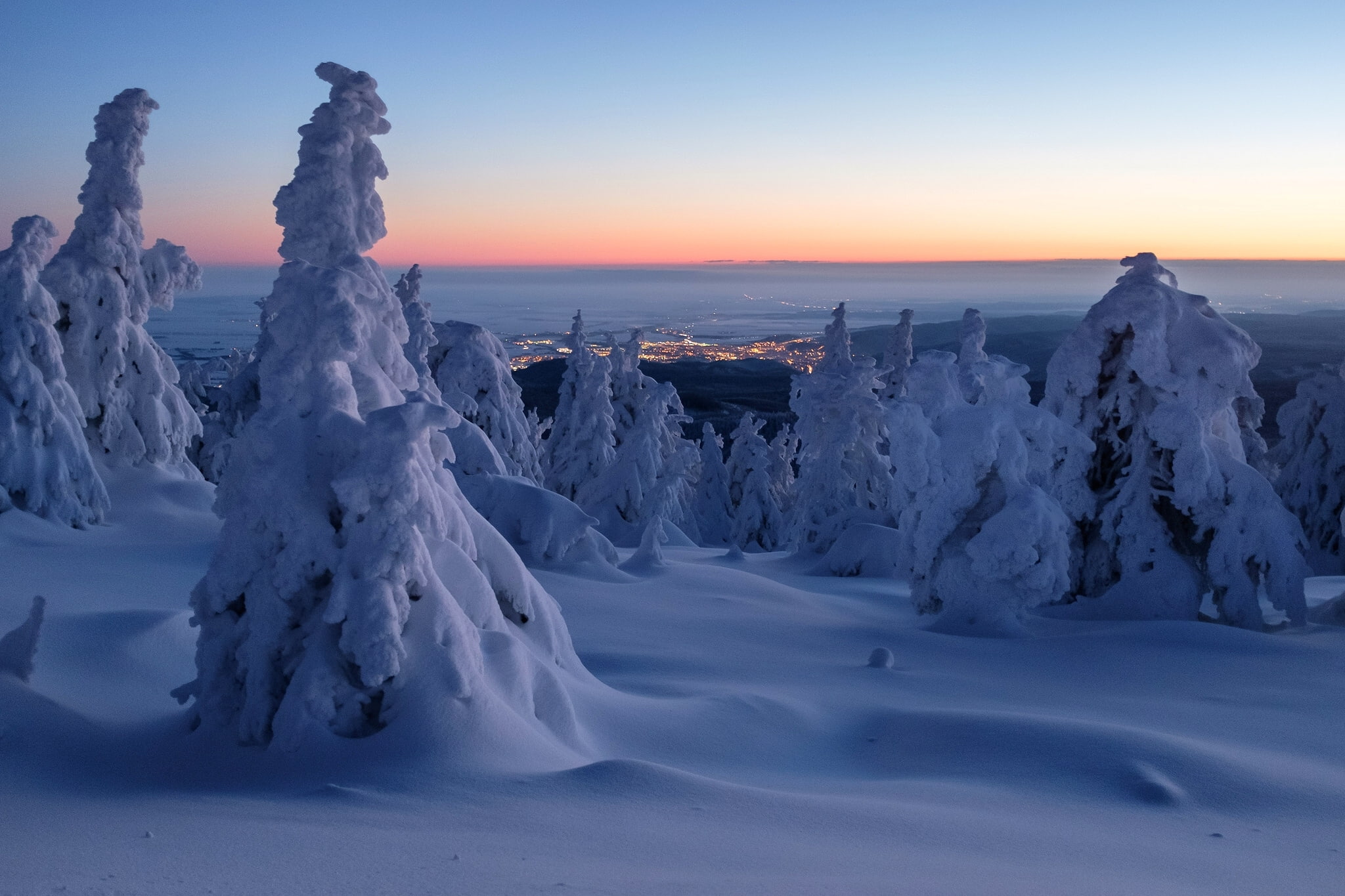 Harz Mountains, panorama, Saxony-Anhalt, Germany, dawn, winter, the Harz mountains, trees, morning, 1080P, snow, the snow, HD Wallpaper
