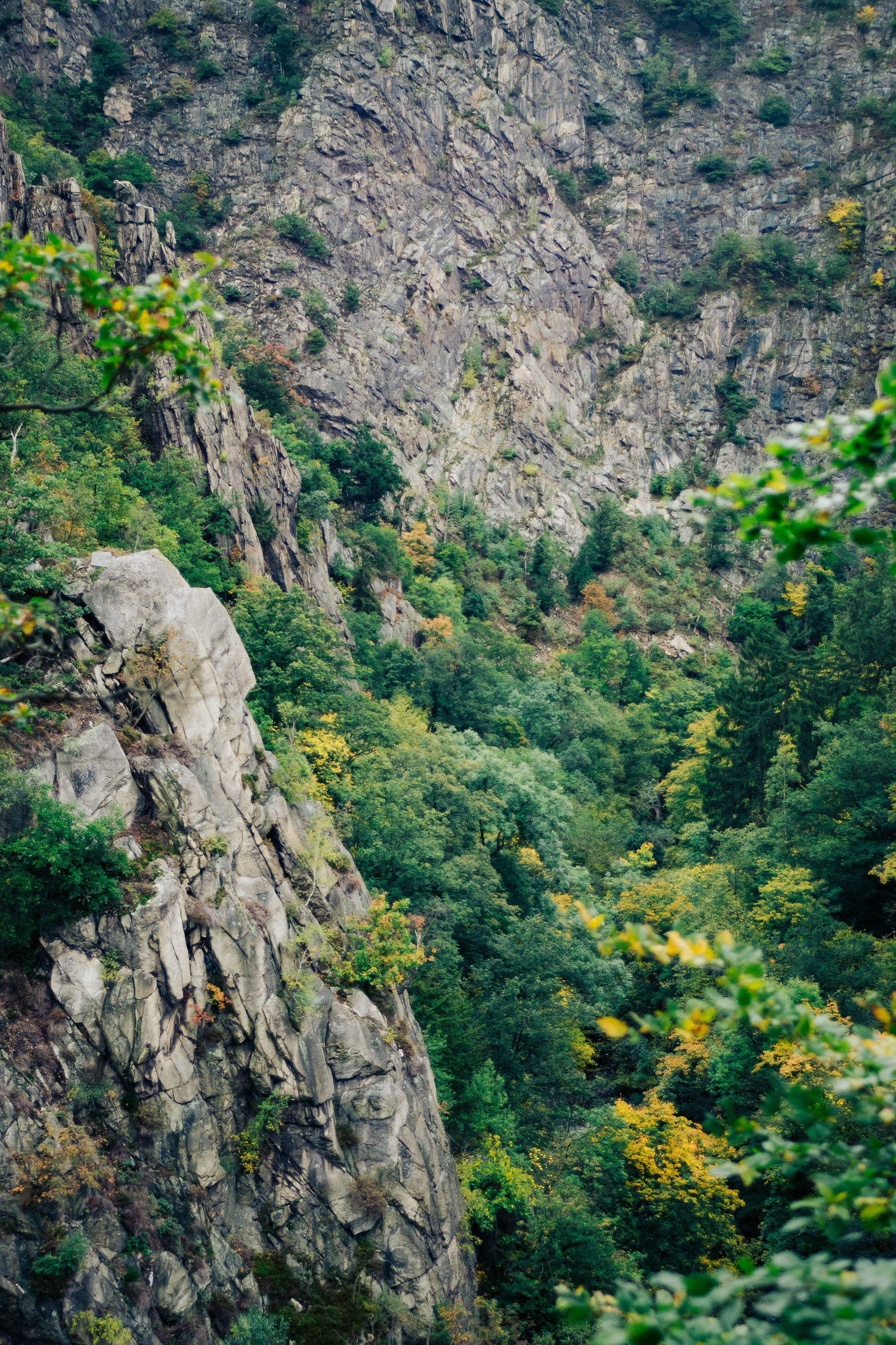 wood, land, foliage, outdoors, mountains, rocky, natural, color, top, range, highland, rock, cliff, forest, season, yellow, leaf, hill, solid, mountain, Phone HD Wallpaper