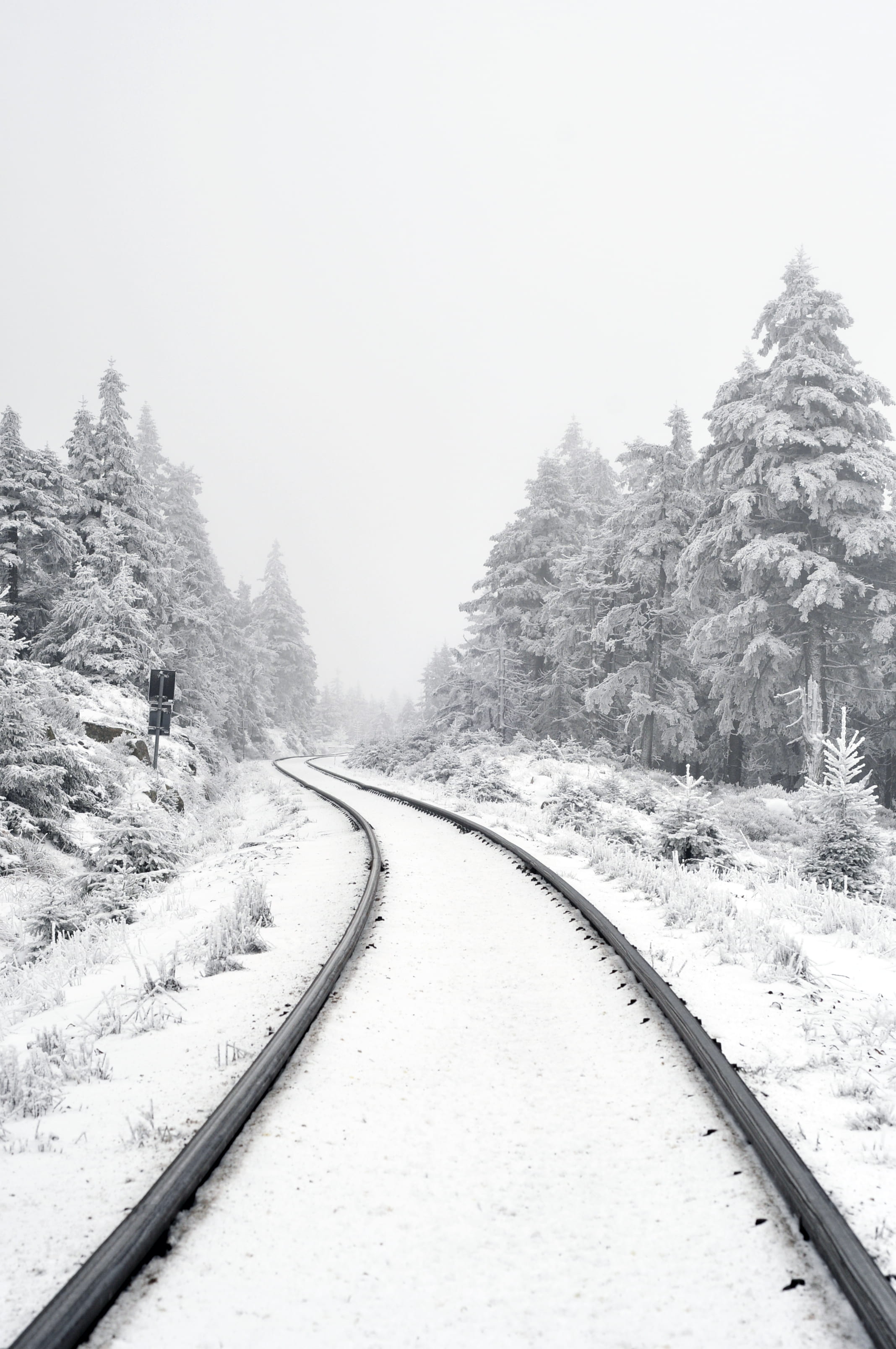 grayscale, travel, pine tree, direction, snowcapped mountain, the way forward, destination, covered, harz, clear sky, beauty in nature, track, diminishing perspective, Phone HD Wallpaper