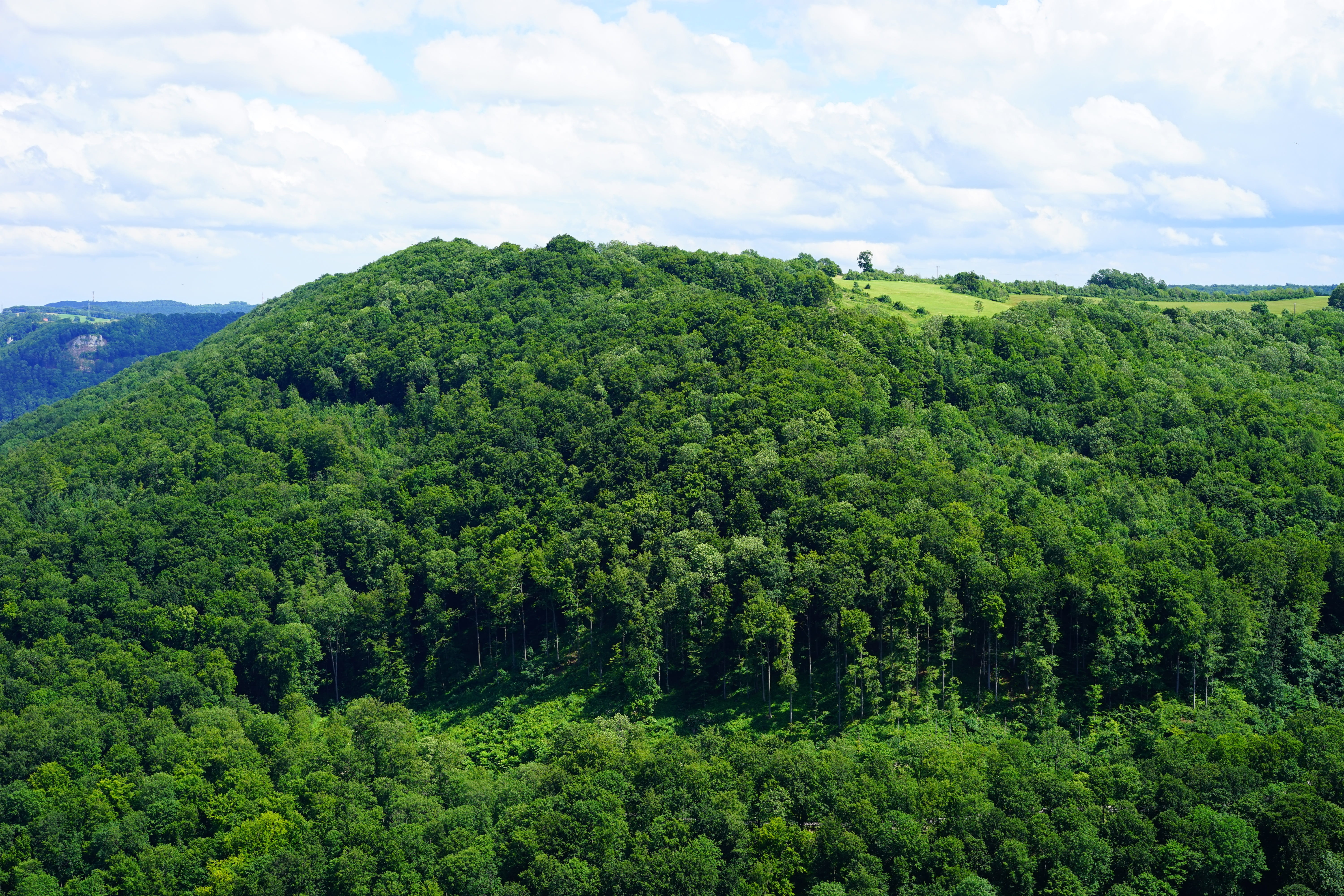 rainforest, beech wood, non-urban scene, tranquil scene, sky, beauty in nature, growth, alb eaves, aussichtspunkt mörike rock, mörike rock, alb plateau, HD Wallpaper