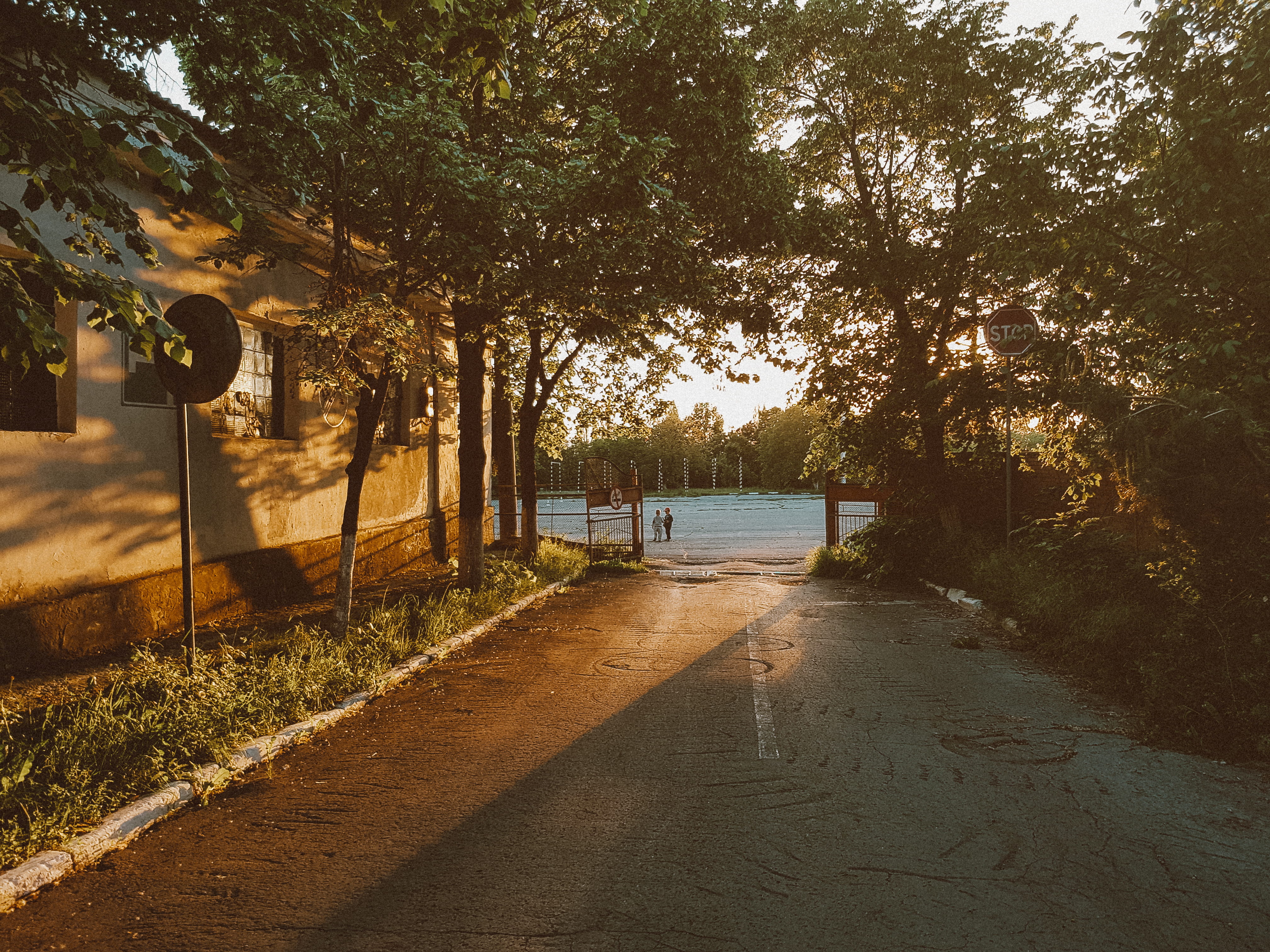 nature, sunset, footpath, building exterior, green, chill, direction, yellow, transportation, moldova, road, outdoors, tree, communication, growth, lights, HD Wallpaper