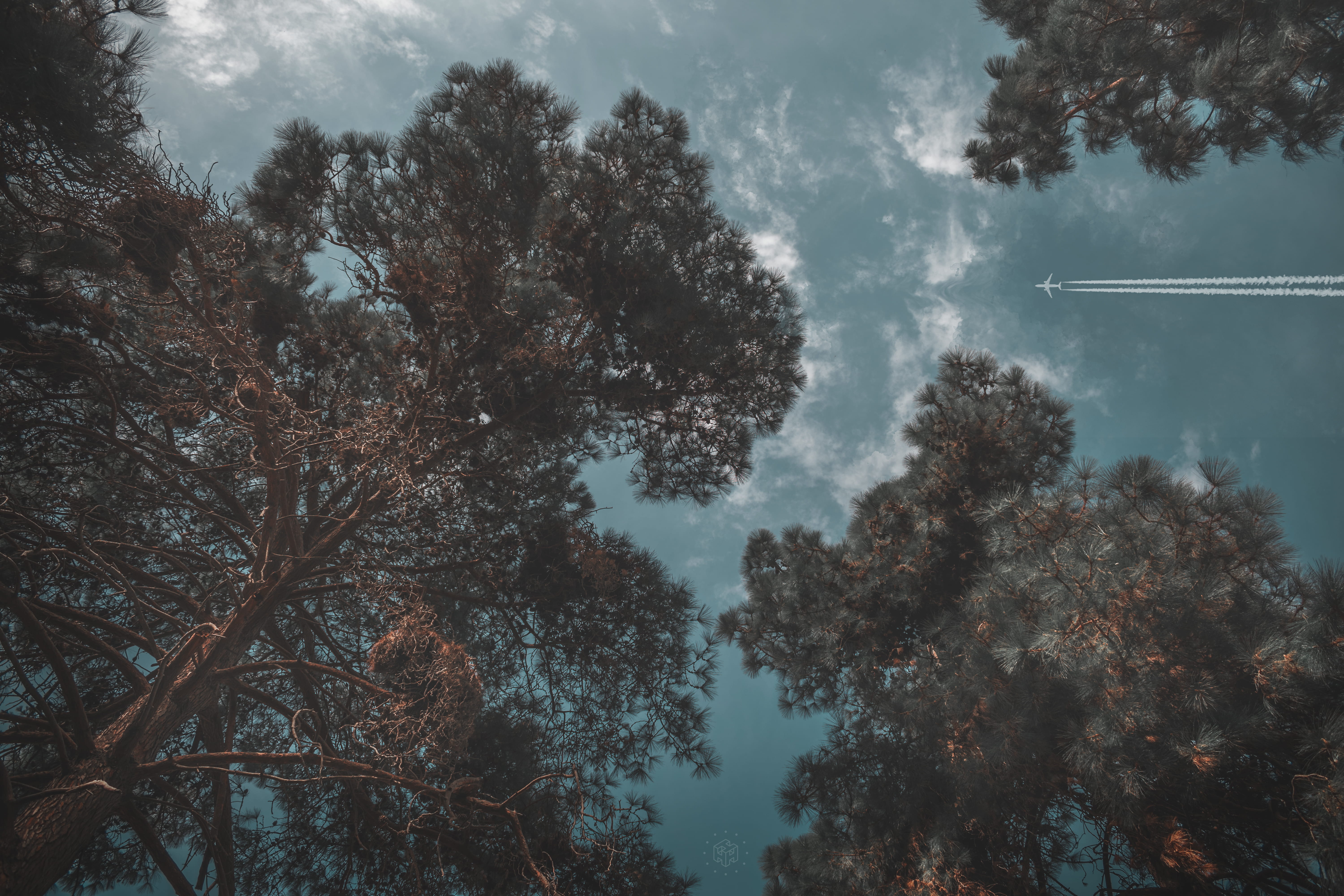no people, aviation, tranquil scene, outdoors, travel, tree, flying, smoke, day, low angle shot, cloud - sky, sky, environment, plant, gray, aircraft, tranquility, HD Wallpaper