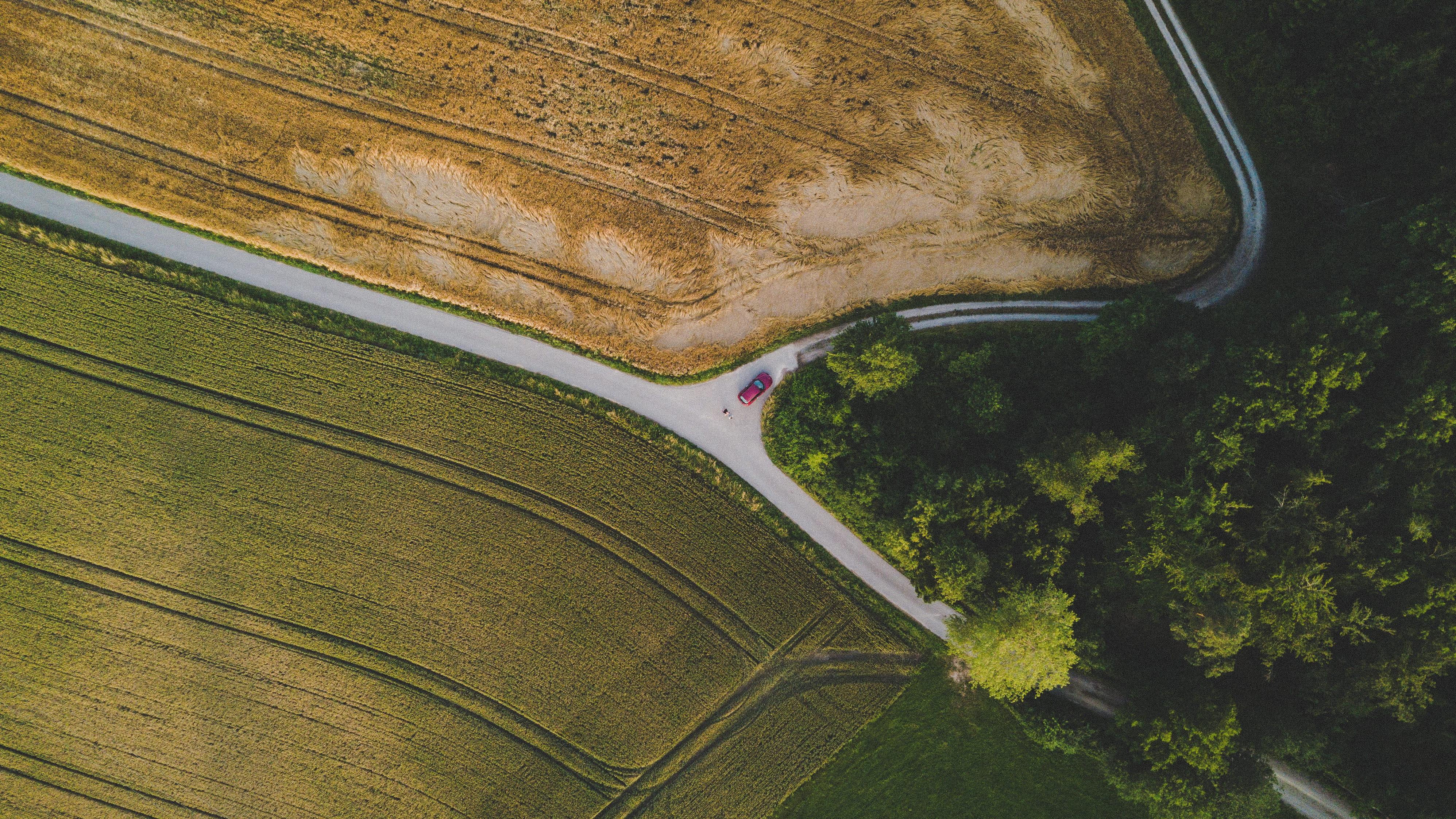 environment, grass, 4K, airplane, mode of transport, green color, green, aerial, aerial View, mid-Air, scenics - nature, mode of transportation, no people, HD Wallpaper