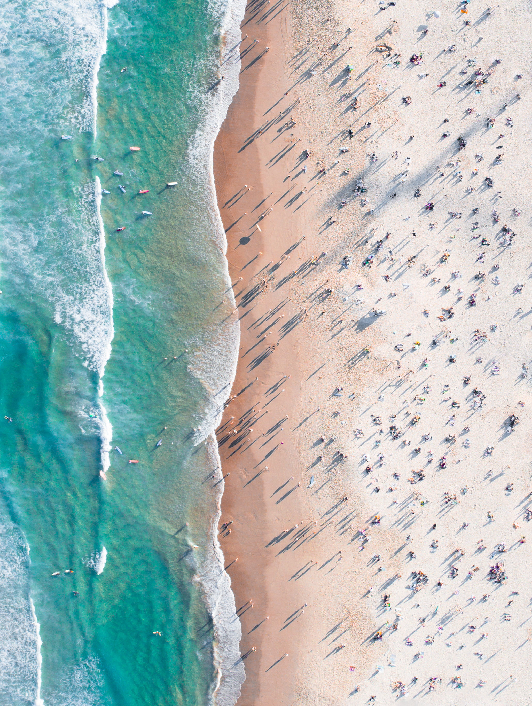 shoreline, sand, boxing, surf, sport, aquatic sport, high angle view, land, no people, scenics - nature, sea, beauty in nature, 2K, bondi, coastline, motion, Phone HD Wallpaper