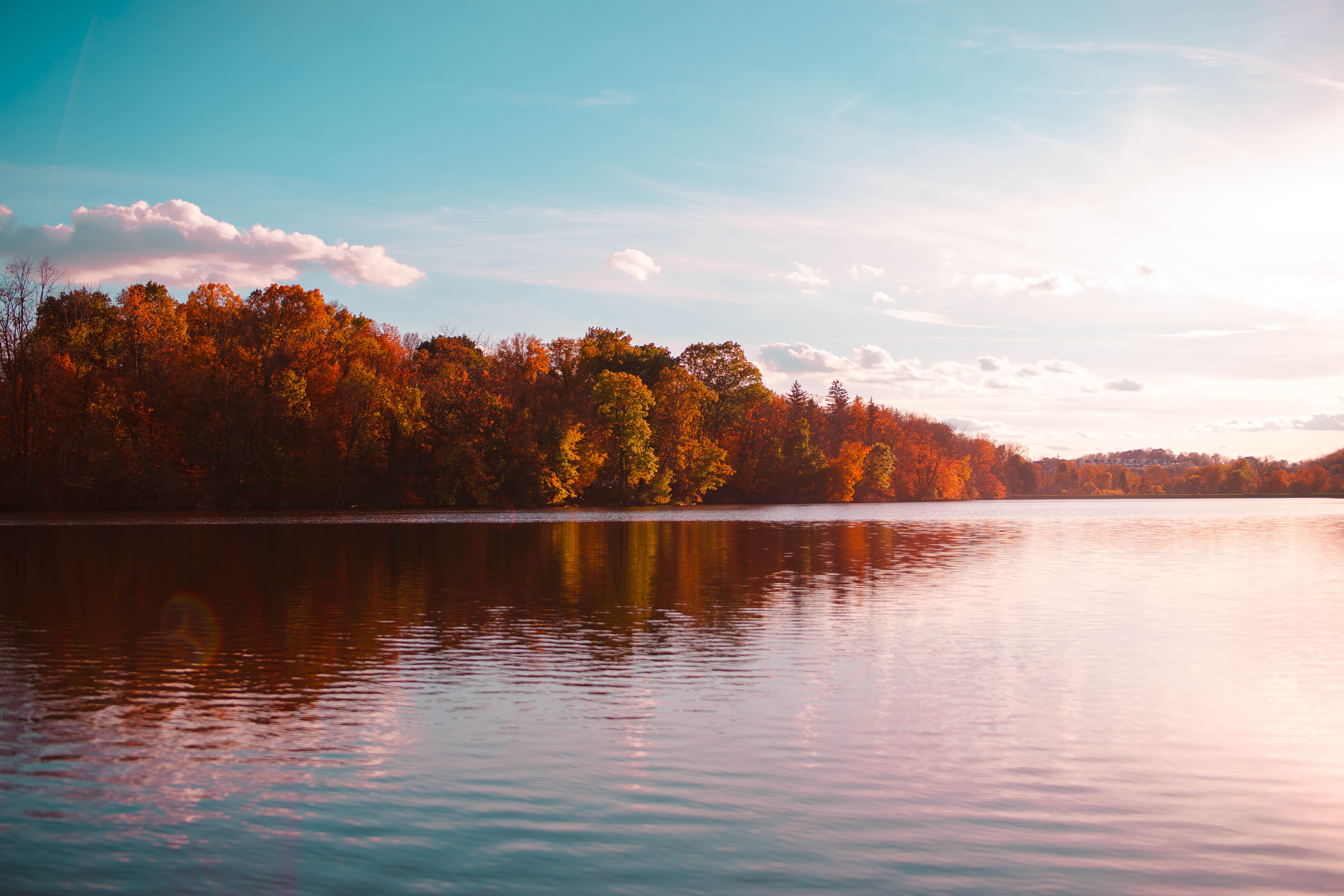 s, lake, change, beauty in nature, reflection, worm, no people, orange color, body, outdoors, water, plant, tranquil scene, 5K, autumn, non-urban scene, HD Wallpaper