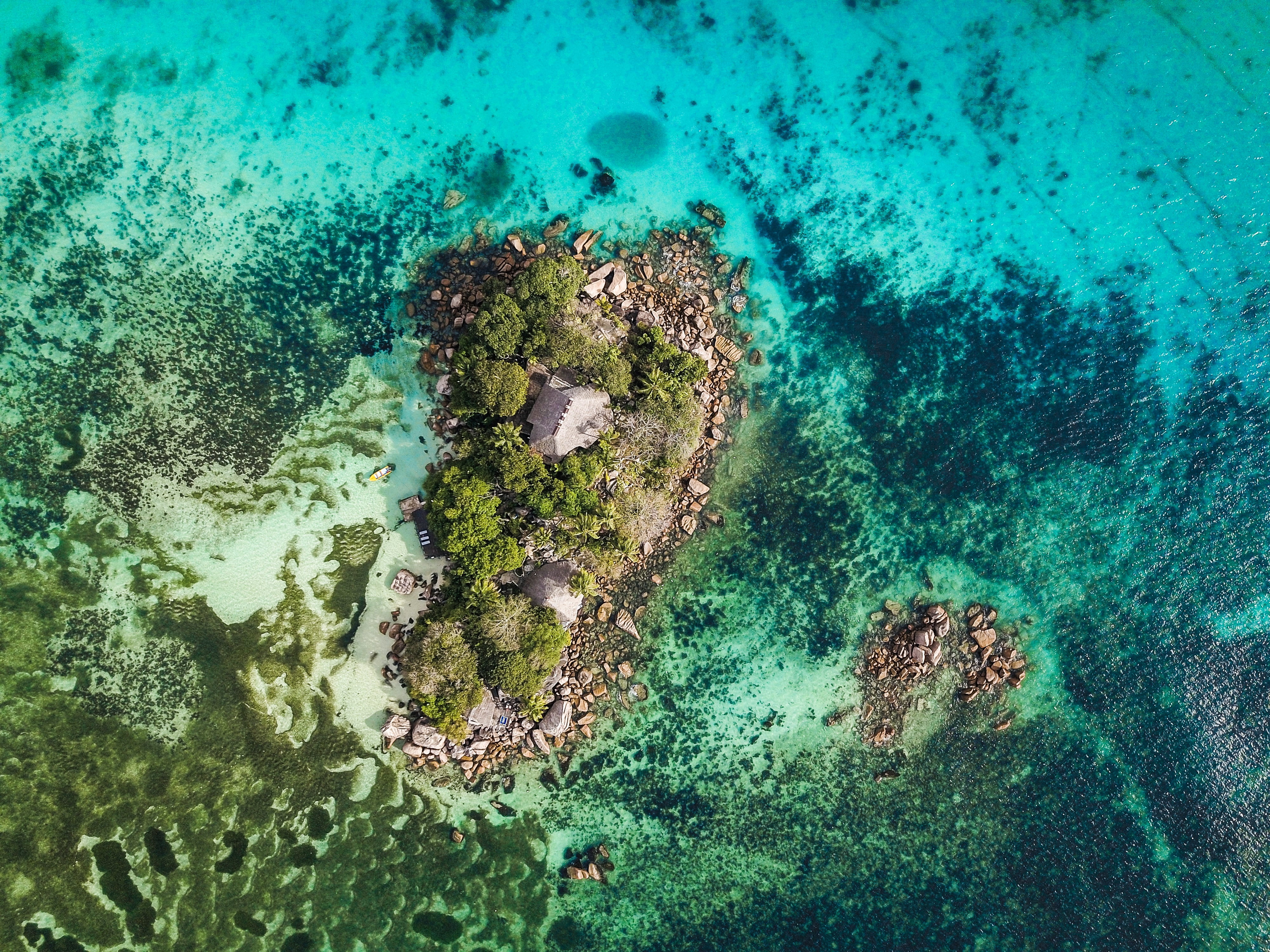 drone, animal wildlife, day, turquoise colored, ecosystem, coral, island, scenics - nature, animal, photography, no people, rock, sea life, sea, 4K, underwater, HD Wallpaper