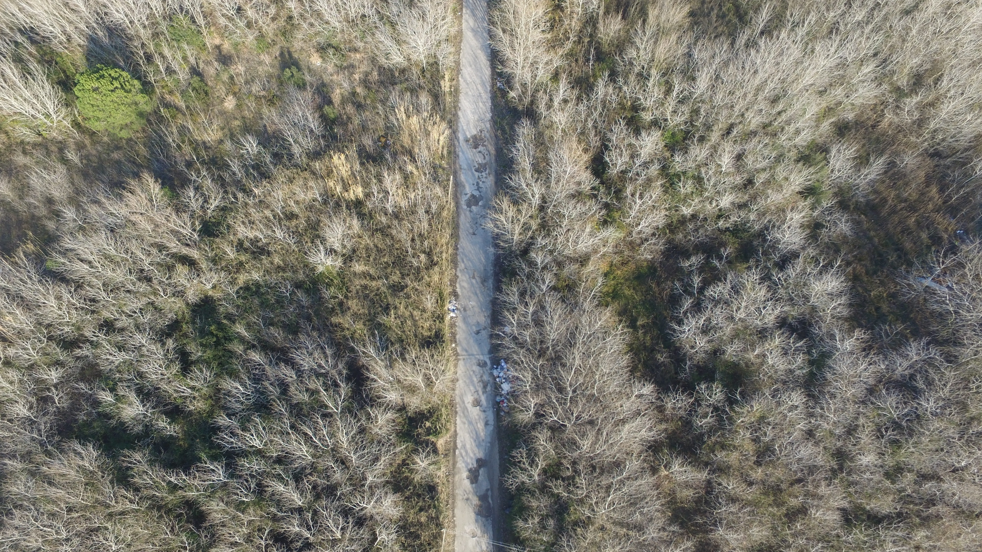 outdoors, aerial view, high angle view, s, daytime, gray, tree, along, 4K, tranquility, concrete, nature, trail, lane, environment, growth, italy, road, HD Wallpaper