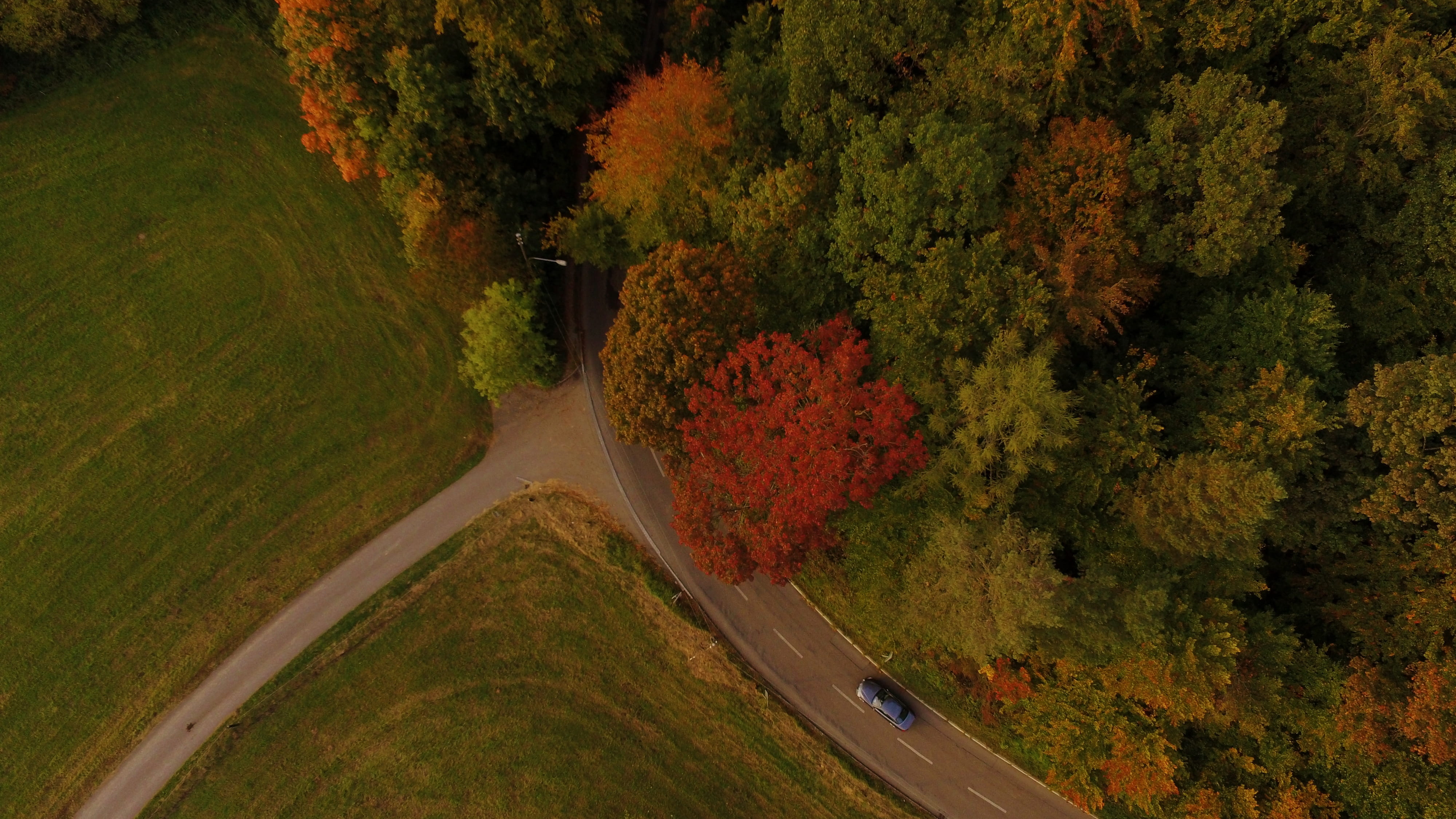 eyeview, green color, car, landscape, scenics - nature, bed, tree, lane, transportation, beauty in nature, track, no people, growth, non-urban scene, road, HD Wallpaper