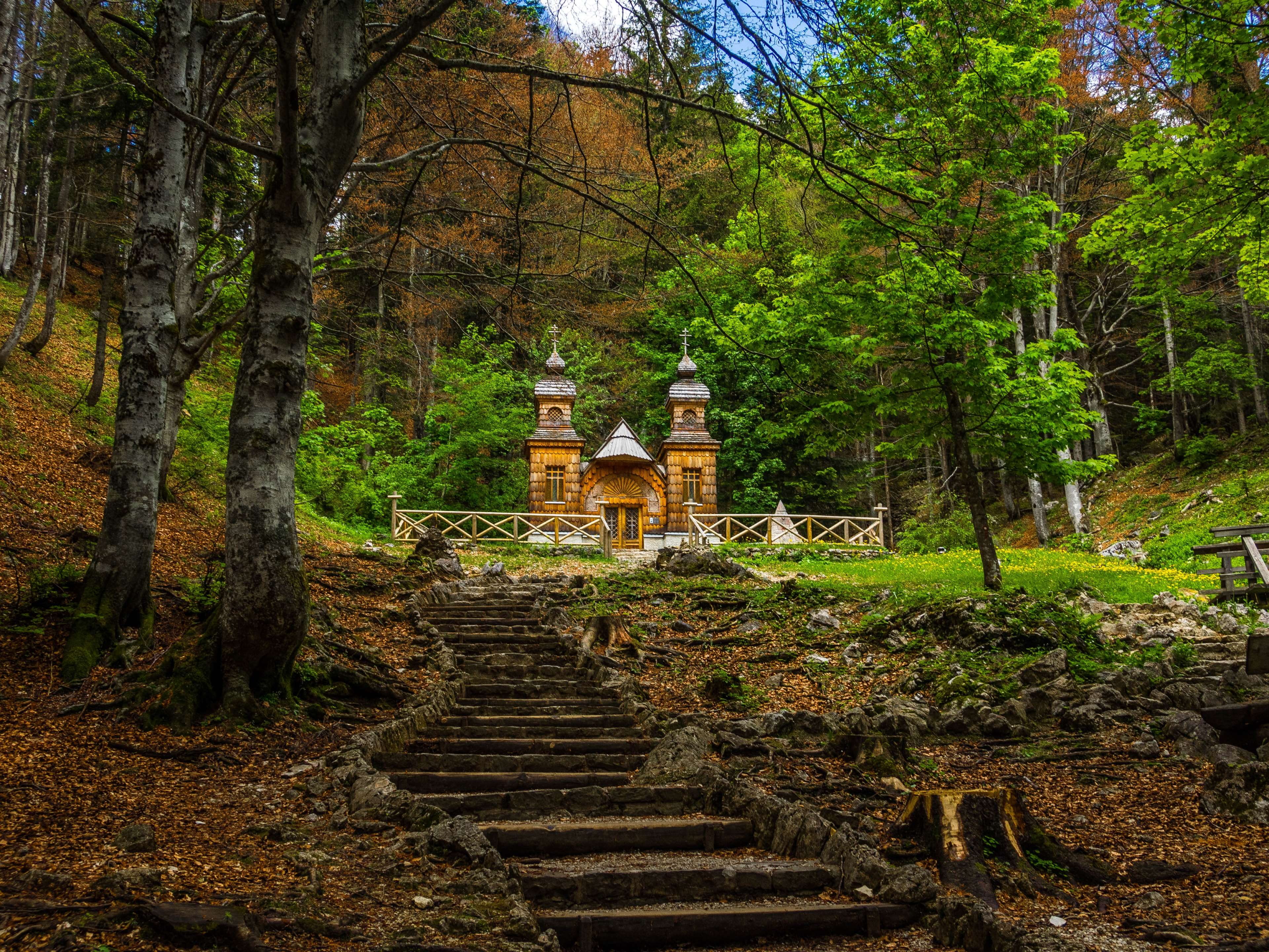 tree, slovenia, chapel, small church, steeple, church, outdoors, wooden church, no people, trunk, triglav national park, steps and staircases, the way forward, HD Wallpaper