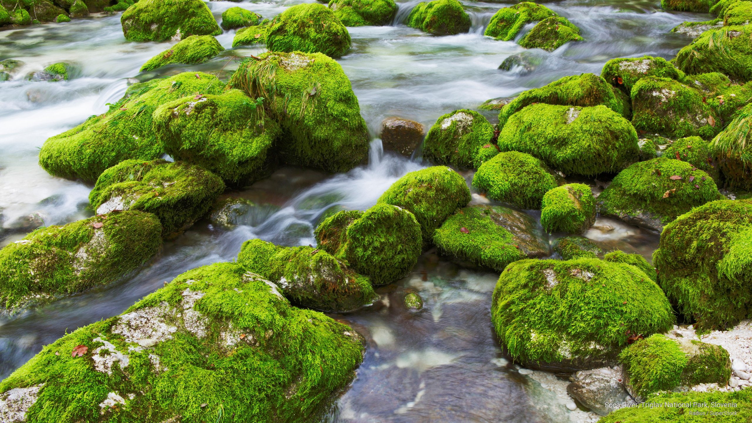 Nature, park, soca, slovenia, national, river, 2K, triglav, HD Wallpaper