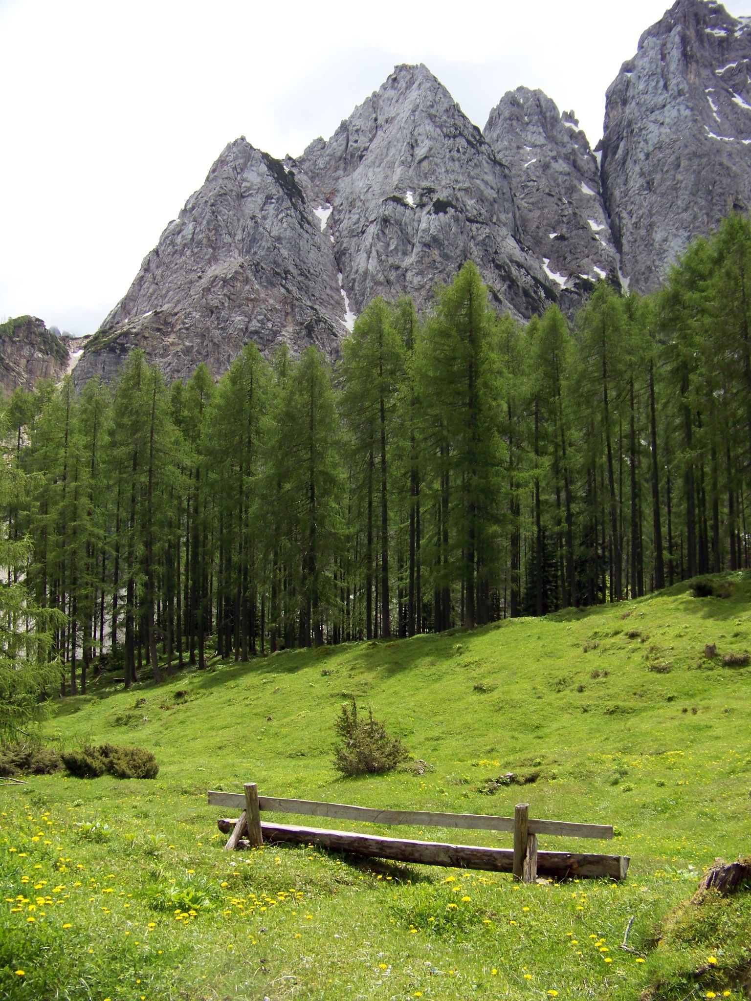 chill out, tranquil scene, green color, the gorenjska region, tranquility, slovenia, tree, no people, plant, grass, chillout, trekking, haunting, outdoors, Phone HD Wallpaper