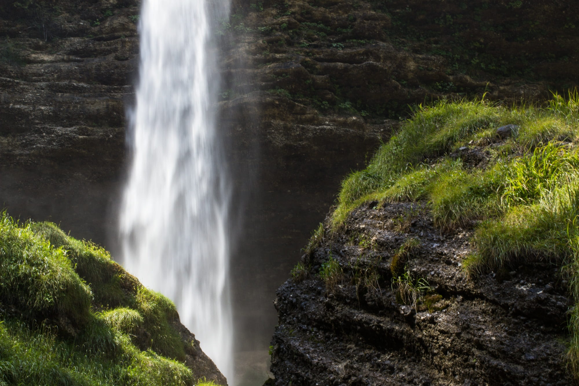 plant, long exposure, triglav national park, rainforest, no people, environment, mountains, waterfall, peričnik is the common, non-urban scene, falling water, HD Wallpaper