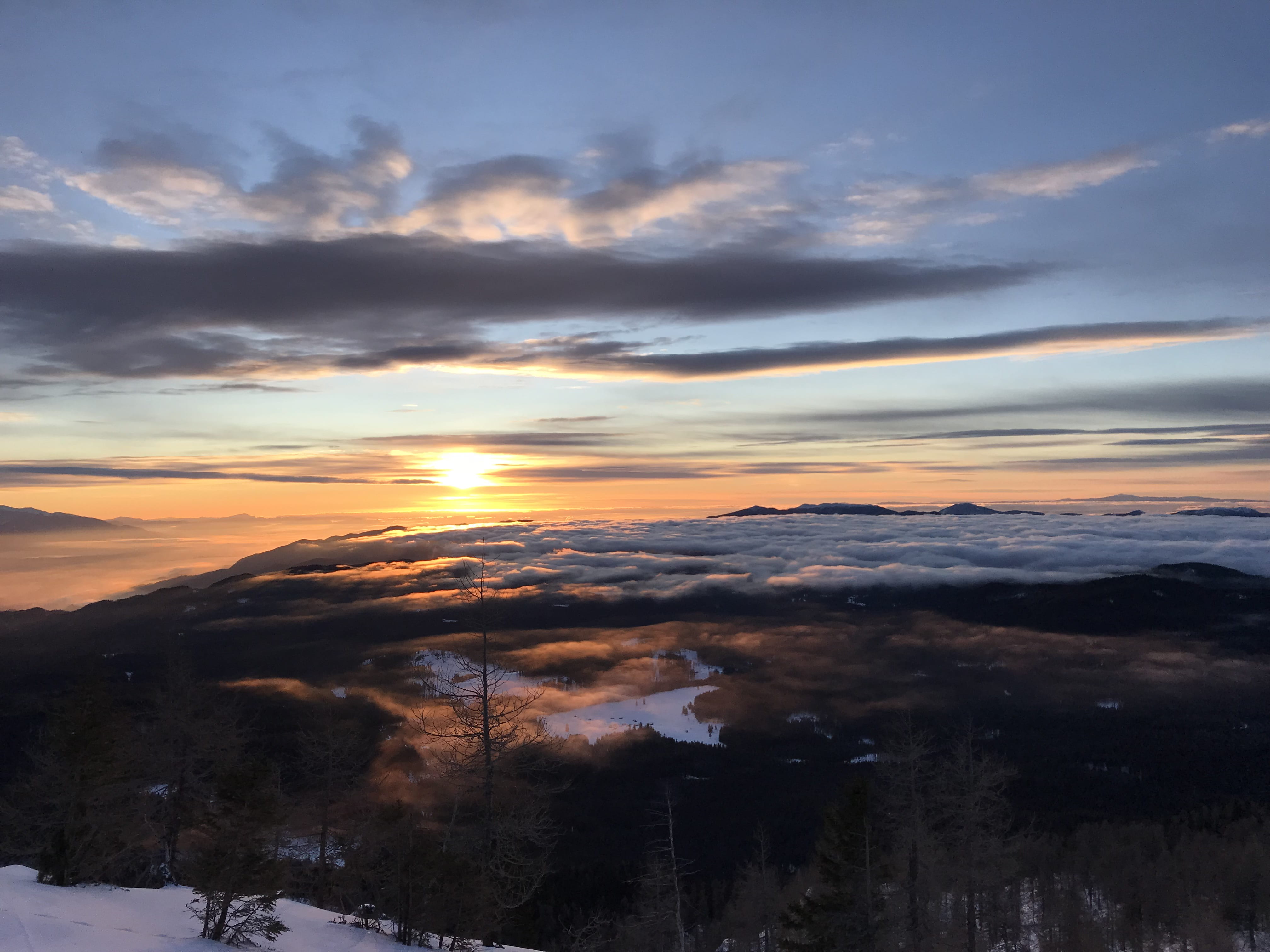 tranquil scene, sun, snow, nature, sky, trees, sunrise, idyllic, plant, dawn, beauty in nature, pokljuka, outdoors, cloud - sky, alps, scenics - nature, HD Wallpaper
