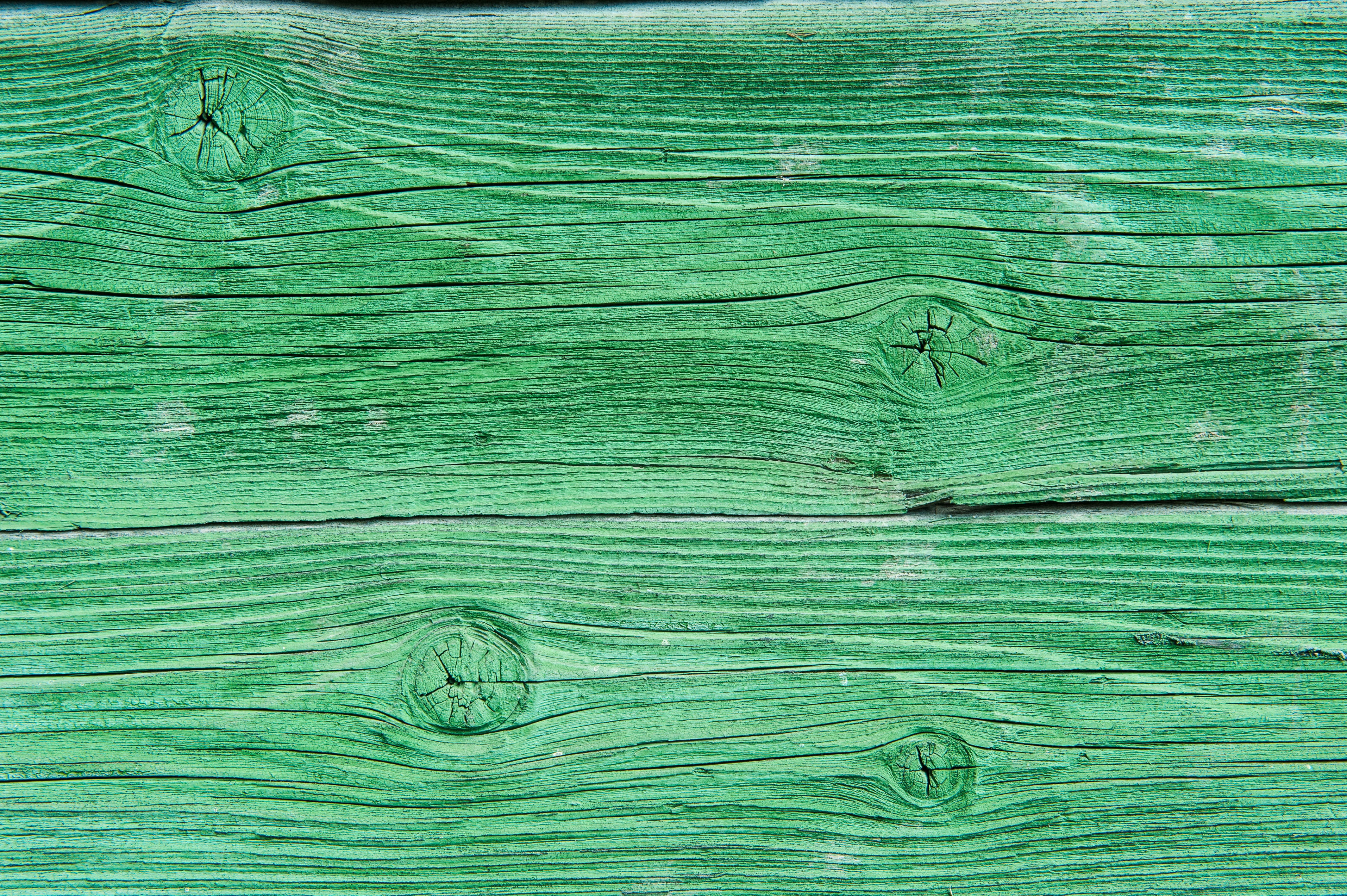 pattern, close-up, backgrounds, outdoors, tree, full frame, timber, textured effect, texture, nature, wood, green color, surface level, no people, emerald, HD Wallpaper