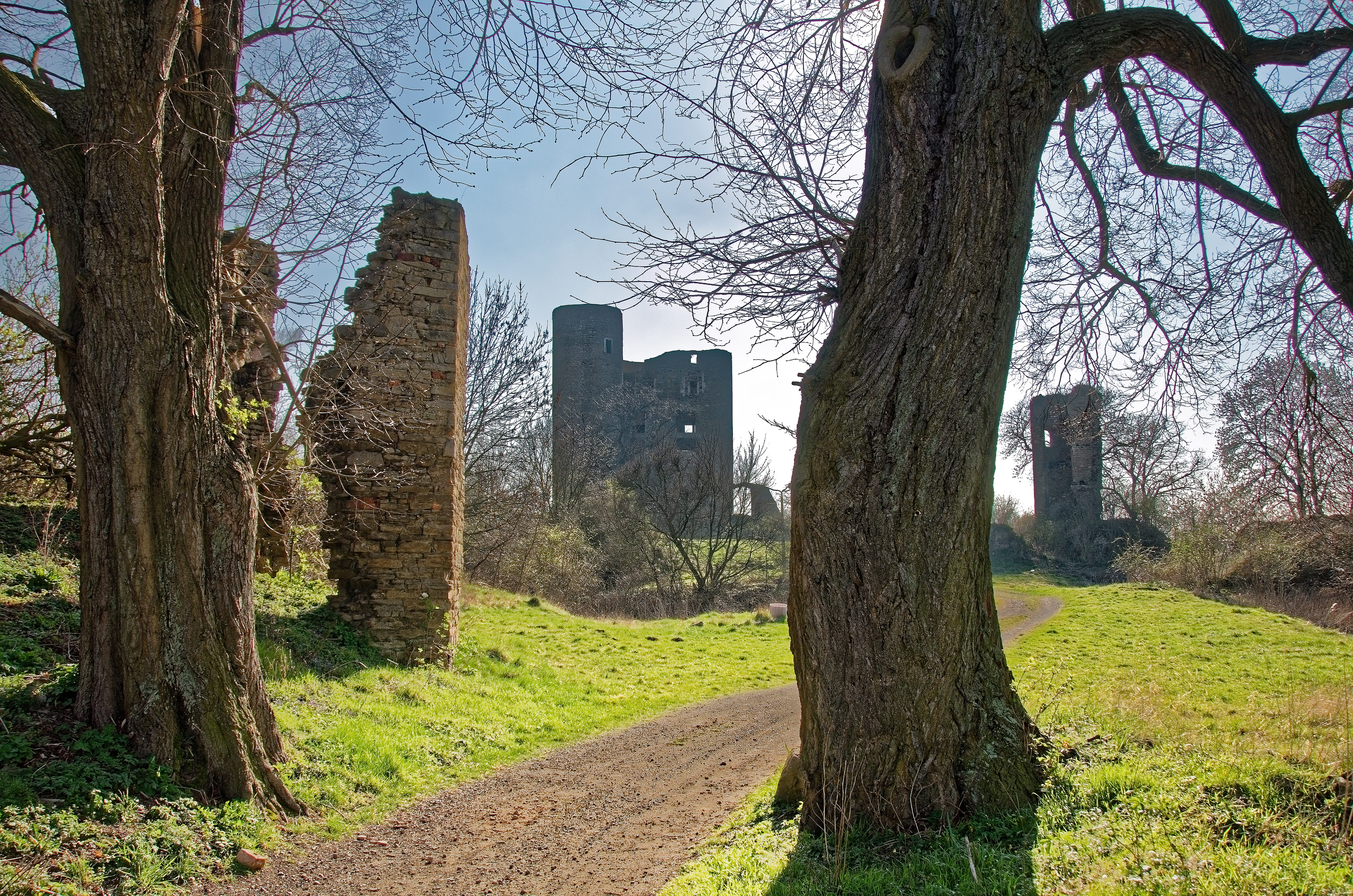 day, nature, built structure, resin, branch, plant, germany, architecture, building, tree trunk, sky, city, ruin, tree, outdoors, growth, castle, trees, HD Wallpaper
