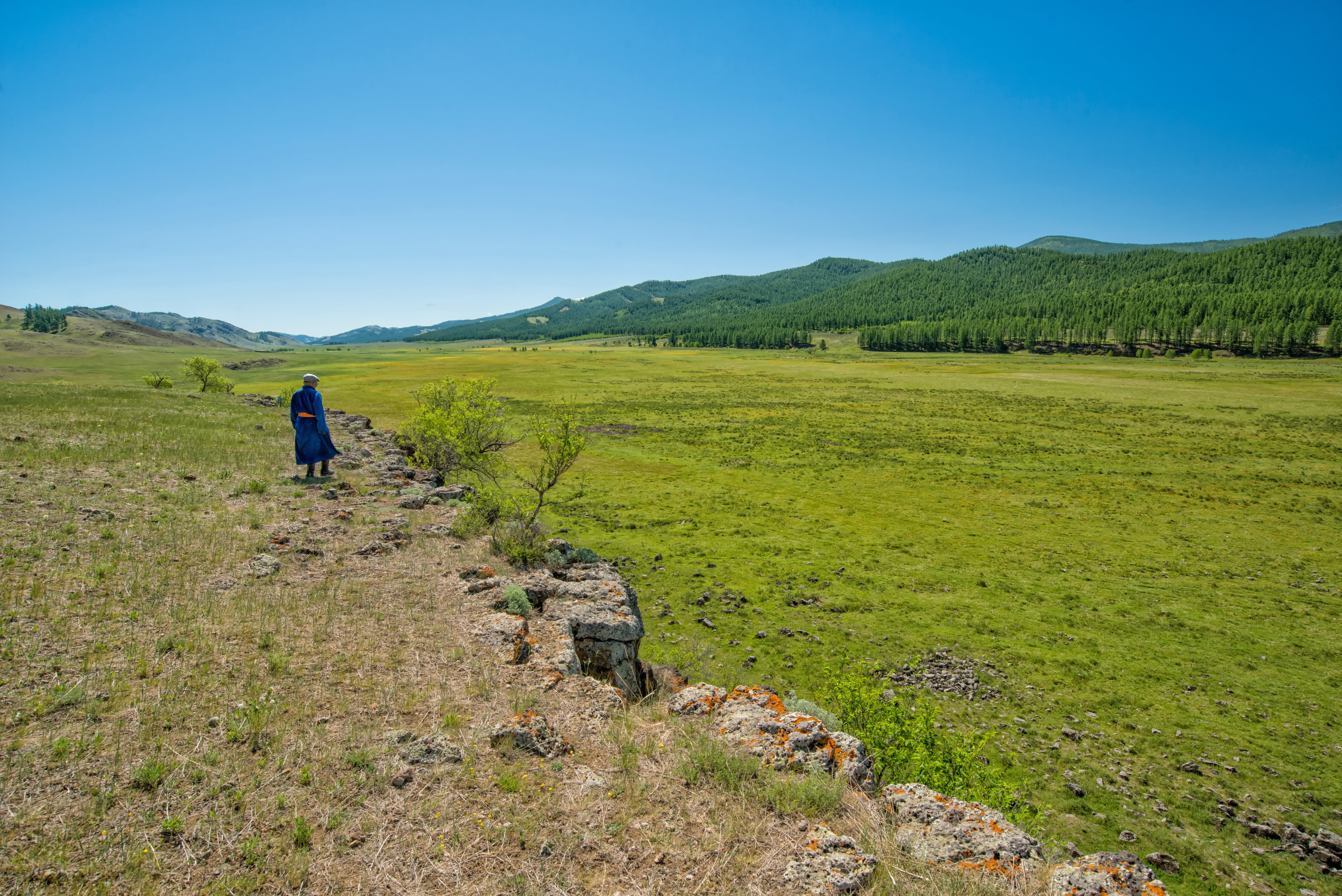 land, one person, scenics - nature, field, mongolia, landscape, walking, people, bogart village, nature, summer, plant, environment, sunlight, day, beauty in nature, HD Wallpaper