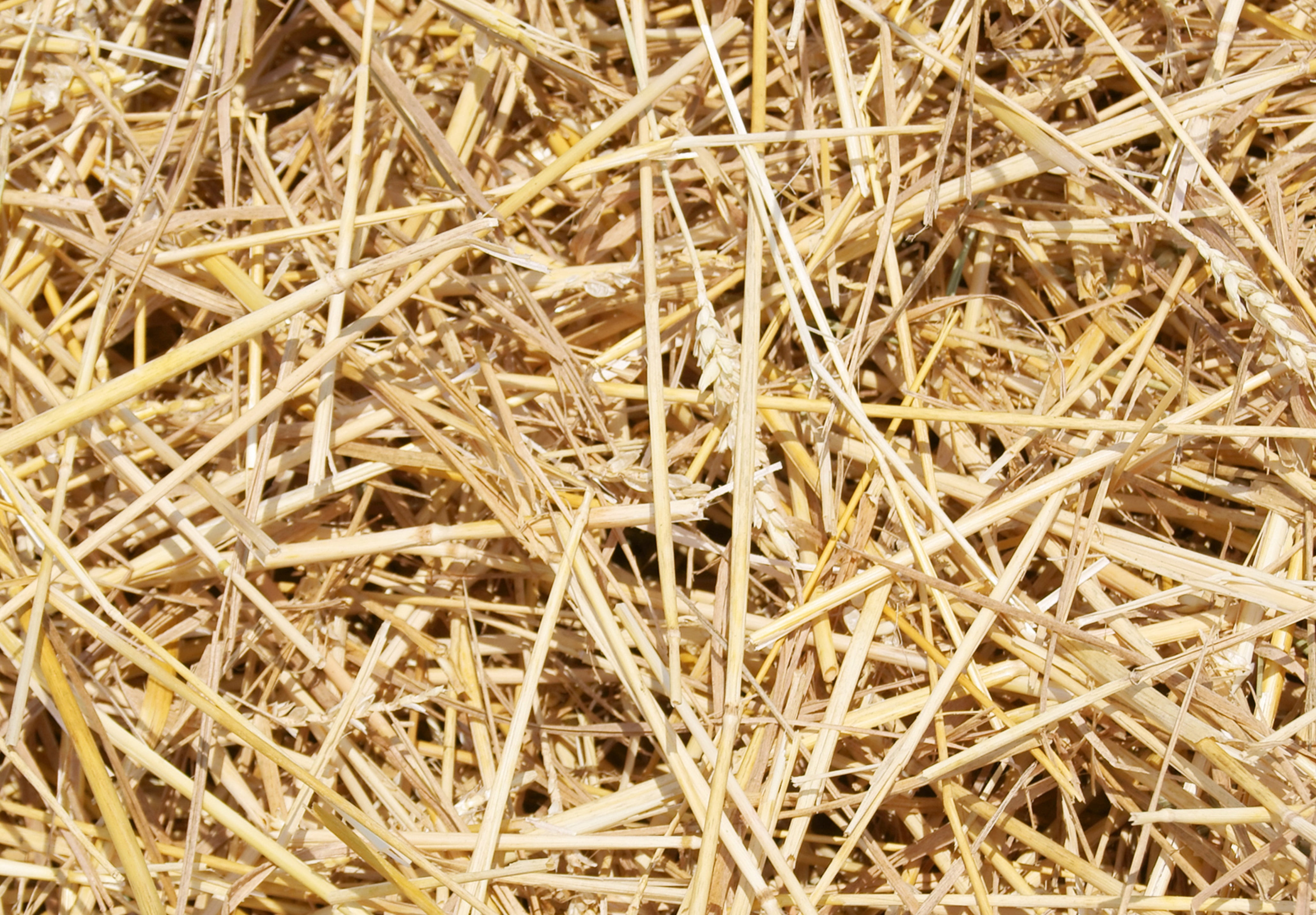 pile, twig, abstract, texture, abundance, dried, haystack, beauty in nature, backgrounds, material, background, close-up, field, hay, macro, farm, day, HD Wallpaper