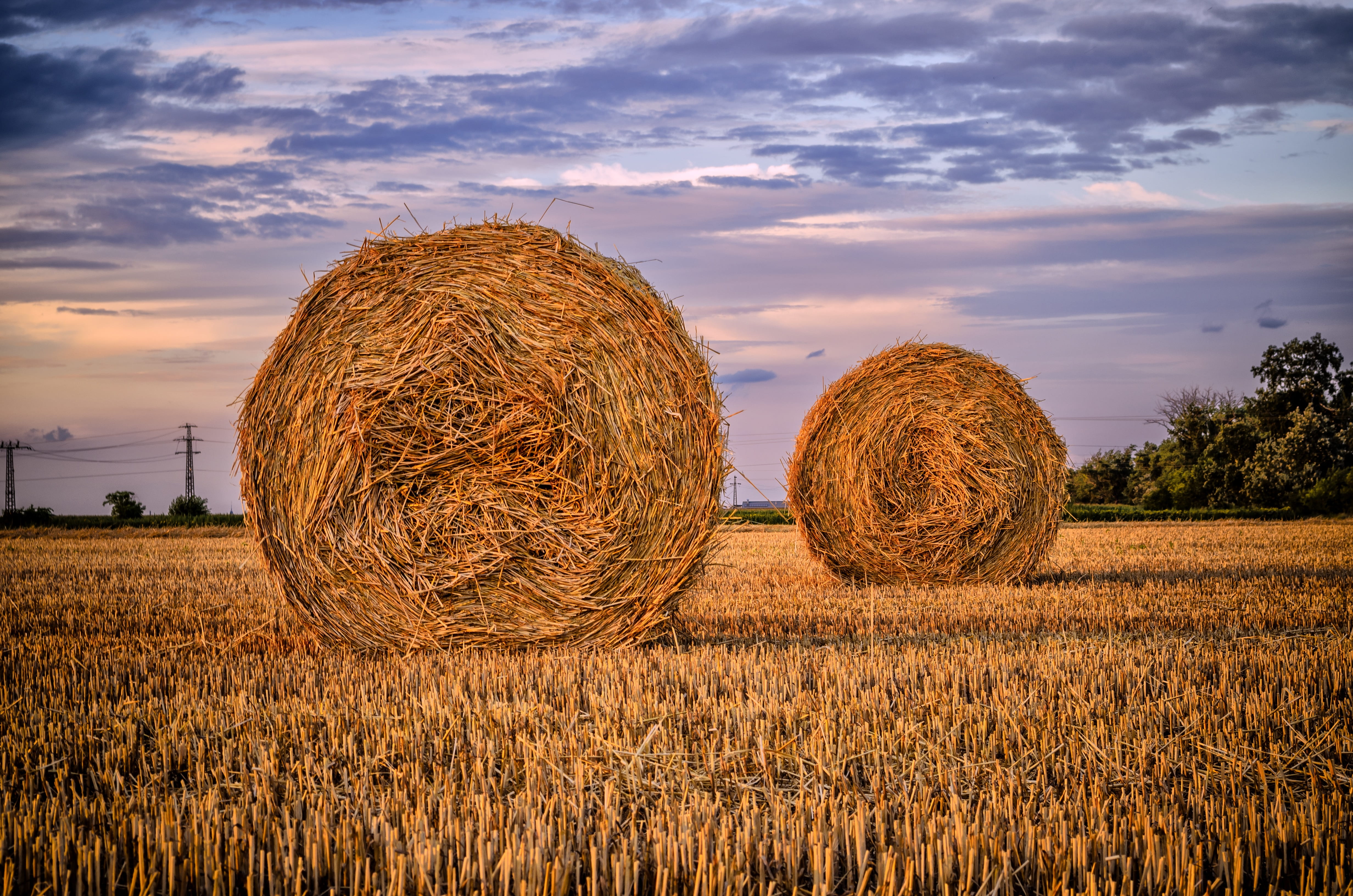 outdoors, straw, cloud - sky, nature, harvesting, plant, tranquility, 4K, tranquil scene, rural landscape, land, meadow, farm, plants, blue sky, beauty in nature, HD Wallpaper
