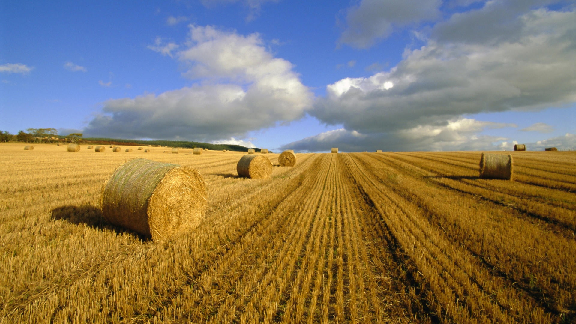 bales, outdoors, yellow, blue, scenics - nature, growth, green, stack, wheat, nature, circle, 1080P, landscaped, dry, grass, summer, sunlight, haystack, HD Wallpaper