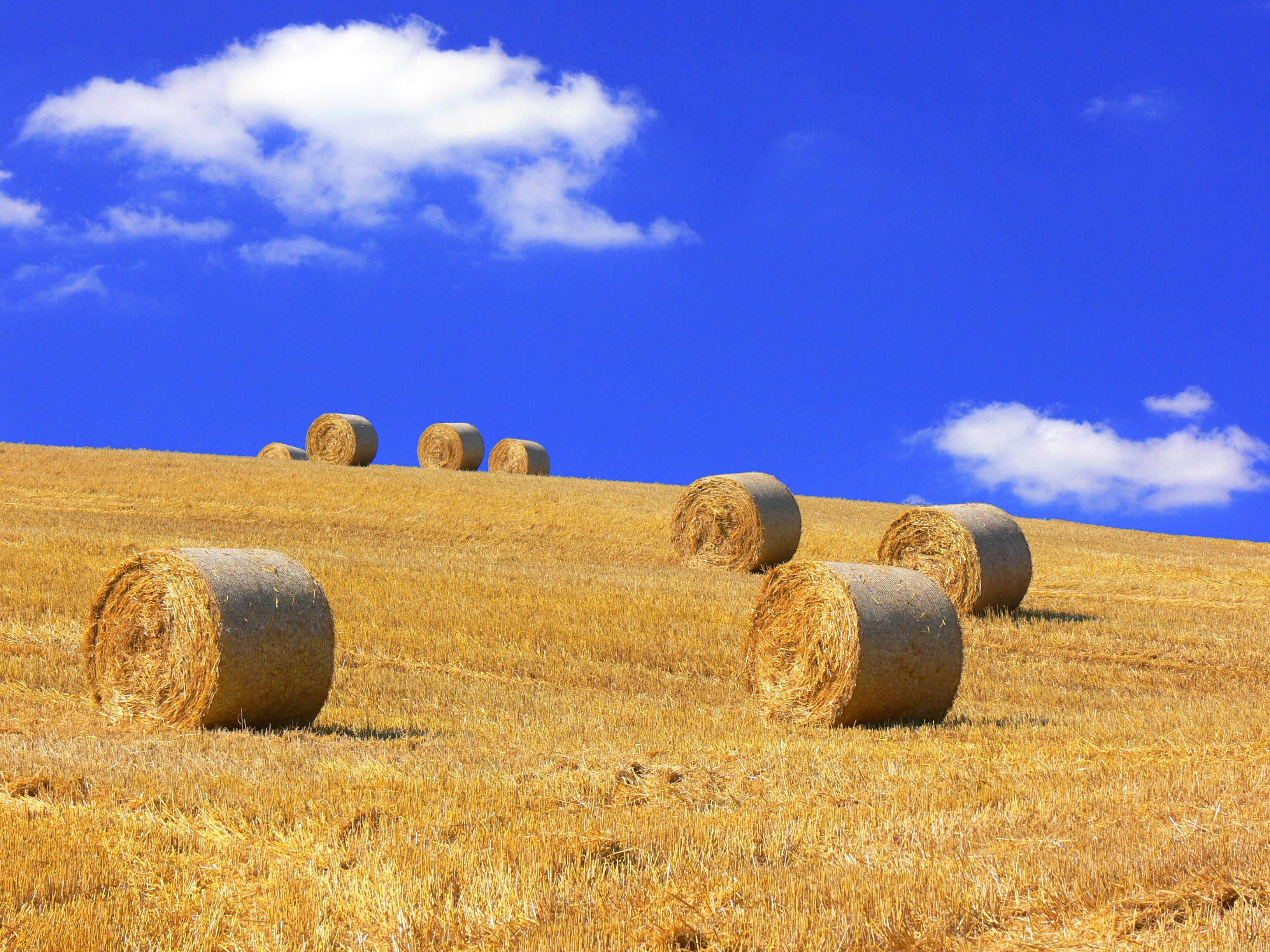 no people, tranquil scene, landscape, farm, harvesting, scenics - nature, tranquility, beauty in nature, summer, rolled up, hay, environment, land, straw, HD Wallpaper