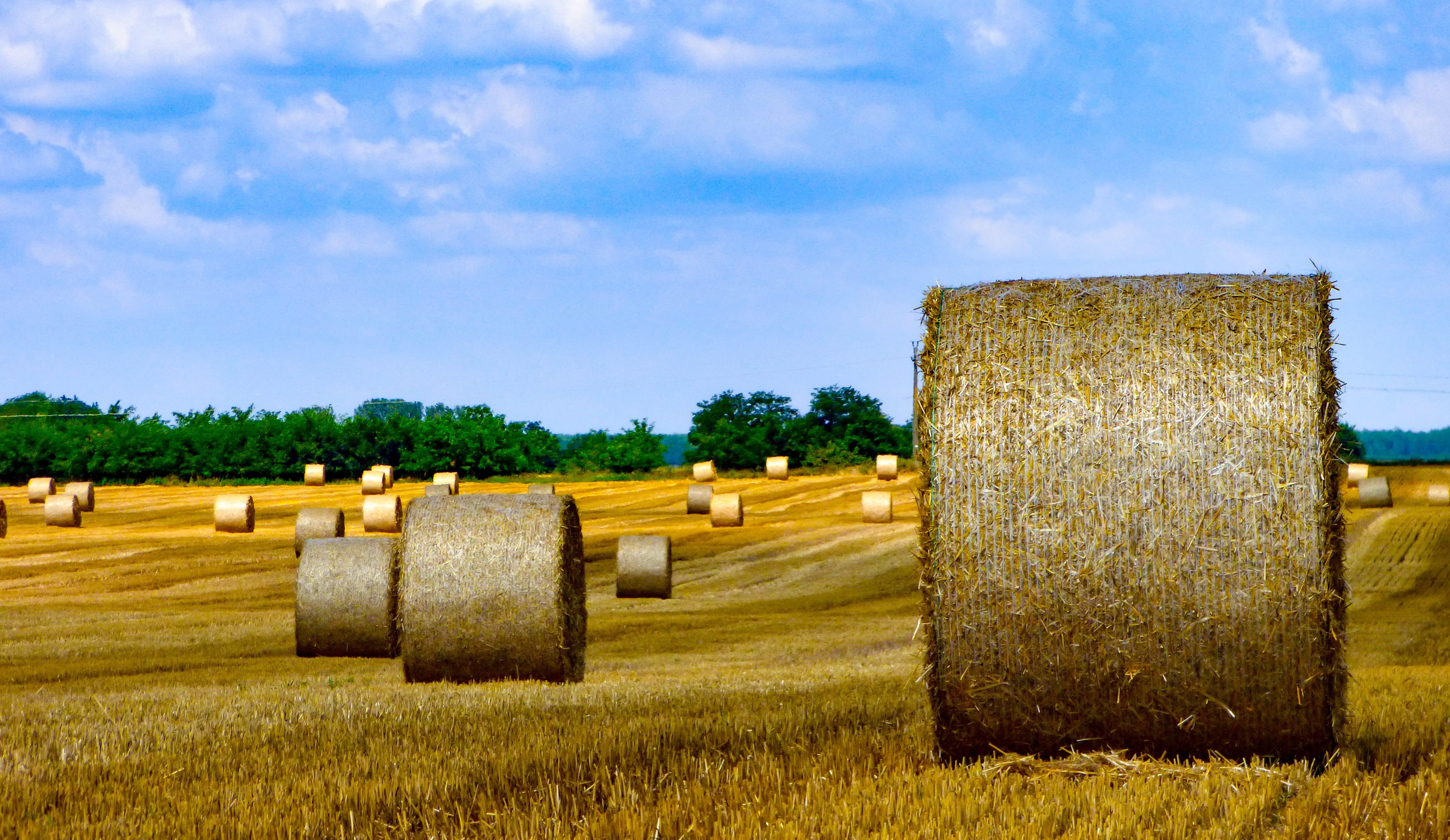 land, agriculture, scenics - nature, farm, nature, straw bale, Landscape, outdoors, mood, sunlight, sky, no people, Grain, tree, brown, cloud - sky, Field, HD Wallpaper