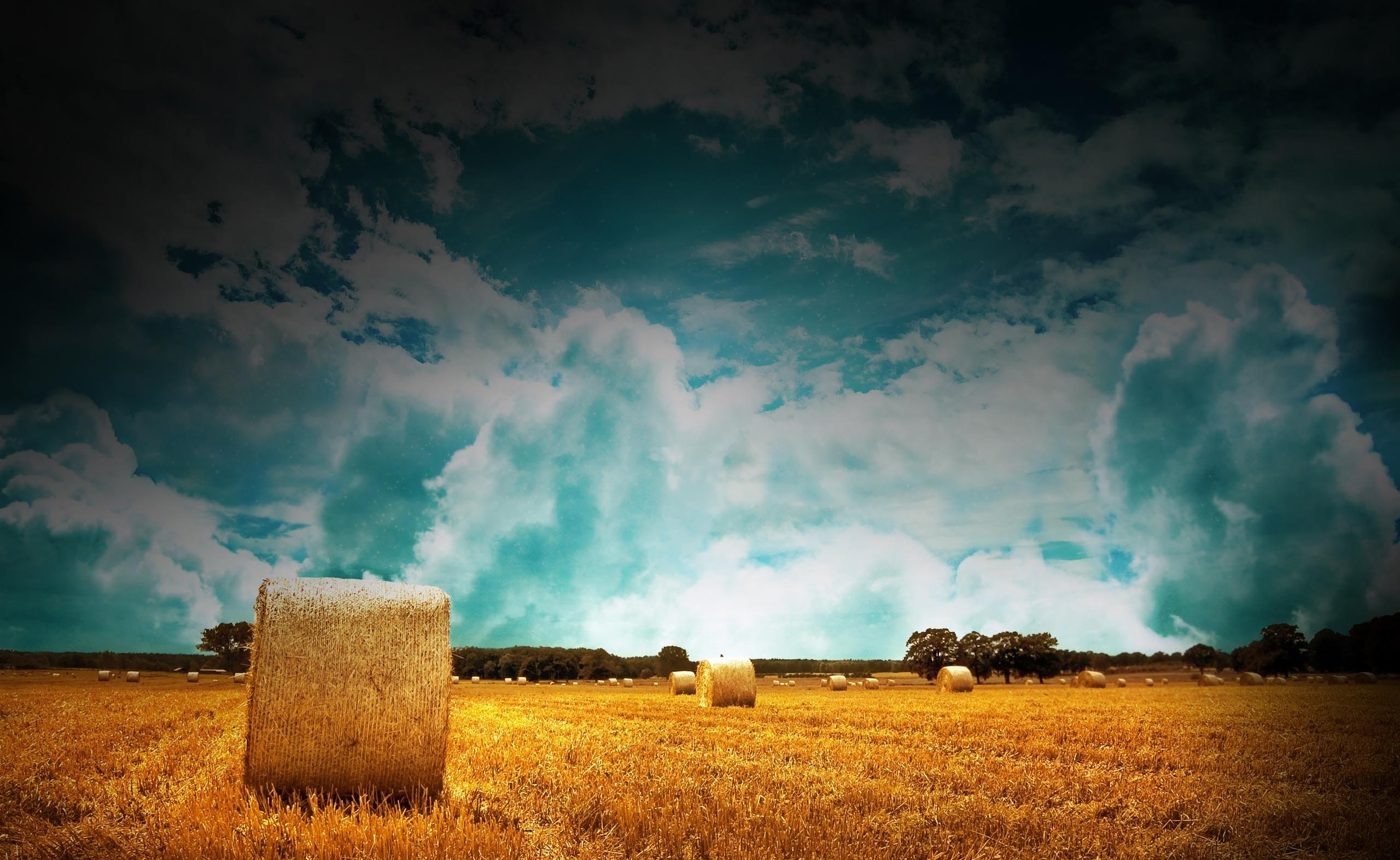 sky, beauty in nature, rural scene, roll, environment, Bales, Blue, land, Nature, farm, brown, farmland, tranquility, plant, bale, grass, Straw, 2K, Cloudy, HD Wallpaper