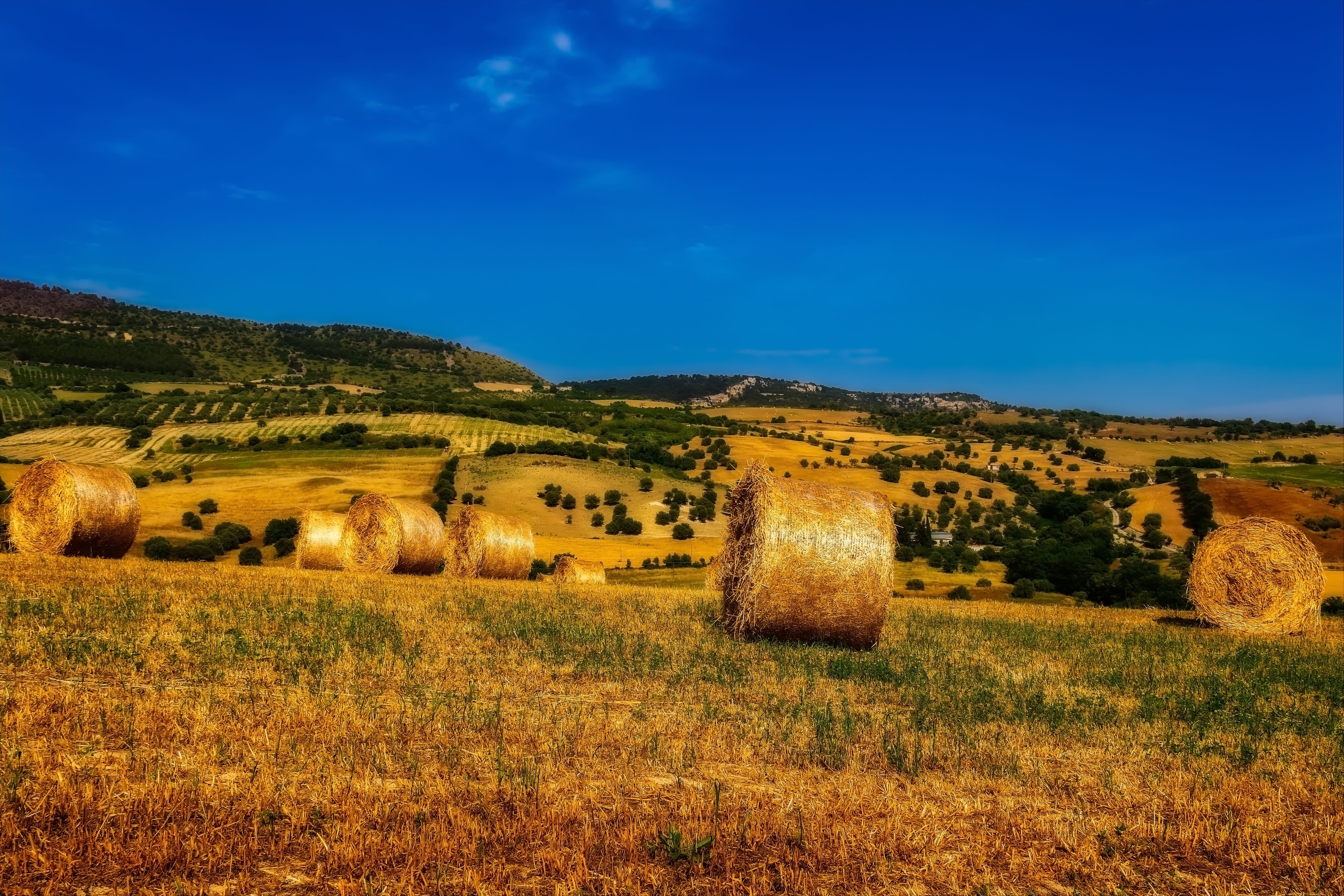 blue, harvest time, harvest, straw box, stubble, land, agriculture, tree, sky, harvested, field, environment, harvesting, grass, golden, summer, bale, sicily, HD Wallpaper