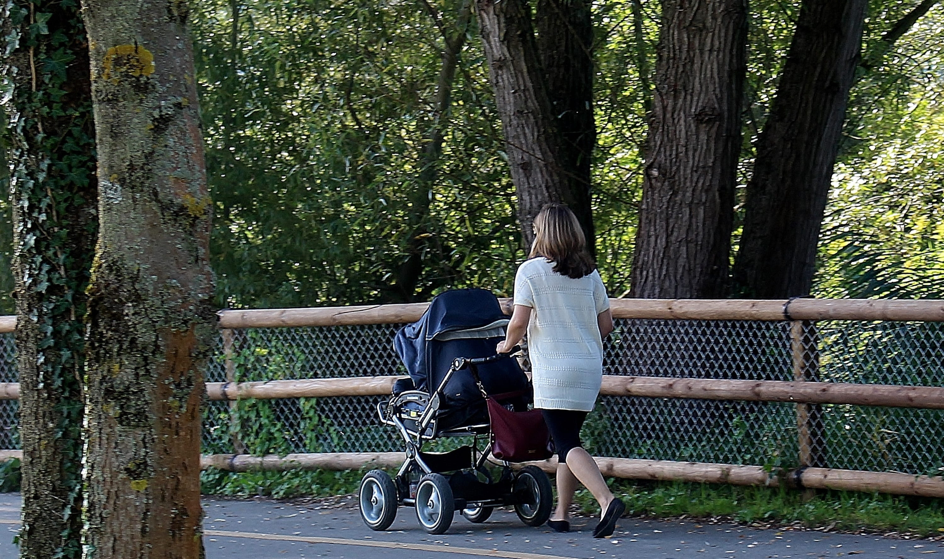 black, day, bicycle, woman, tree, recover, casual clothing, baby carriage, stroller, pedestrian way, plant, adult, walk, transportation, men, people, lifestyles, HD Wallpaper