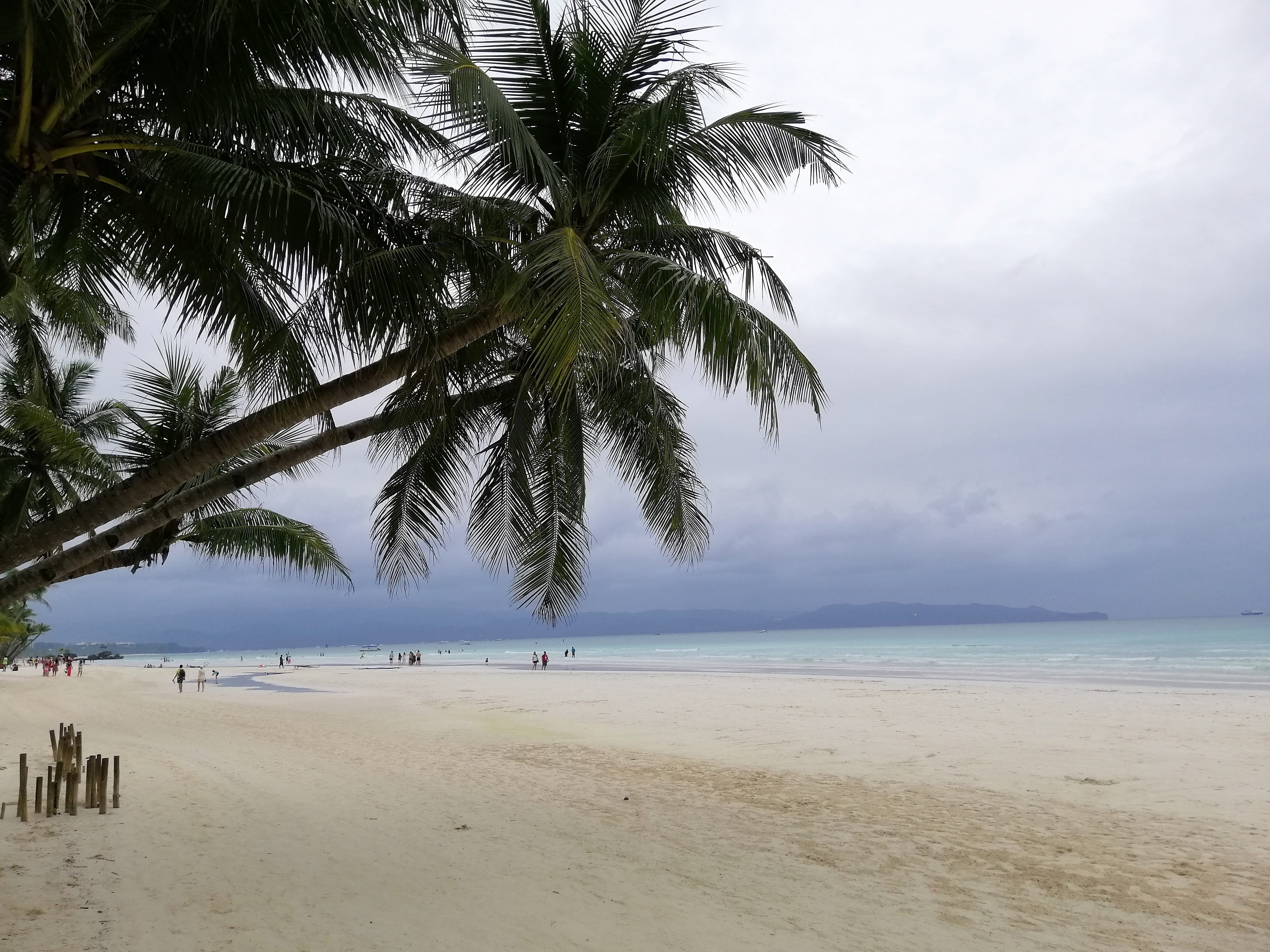 beach, land, outdoors, incidental people, beauty in nature, cloud - sky, plant, rain, horizon, horizon over water, tree, tropical, sky, palm tree, water, HD Wallpaper