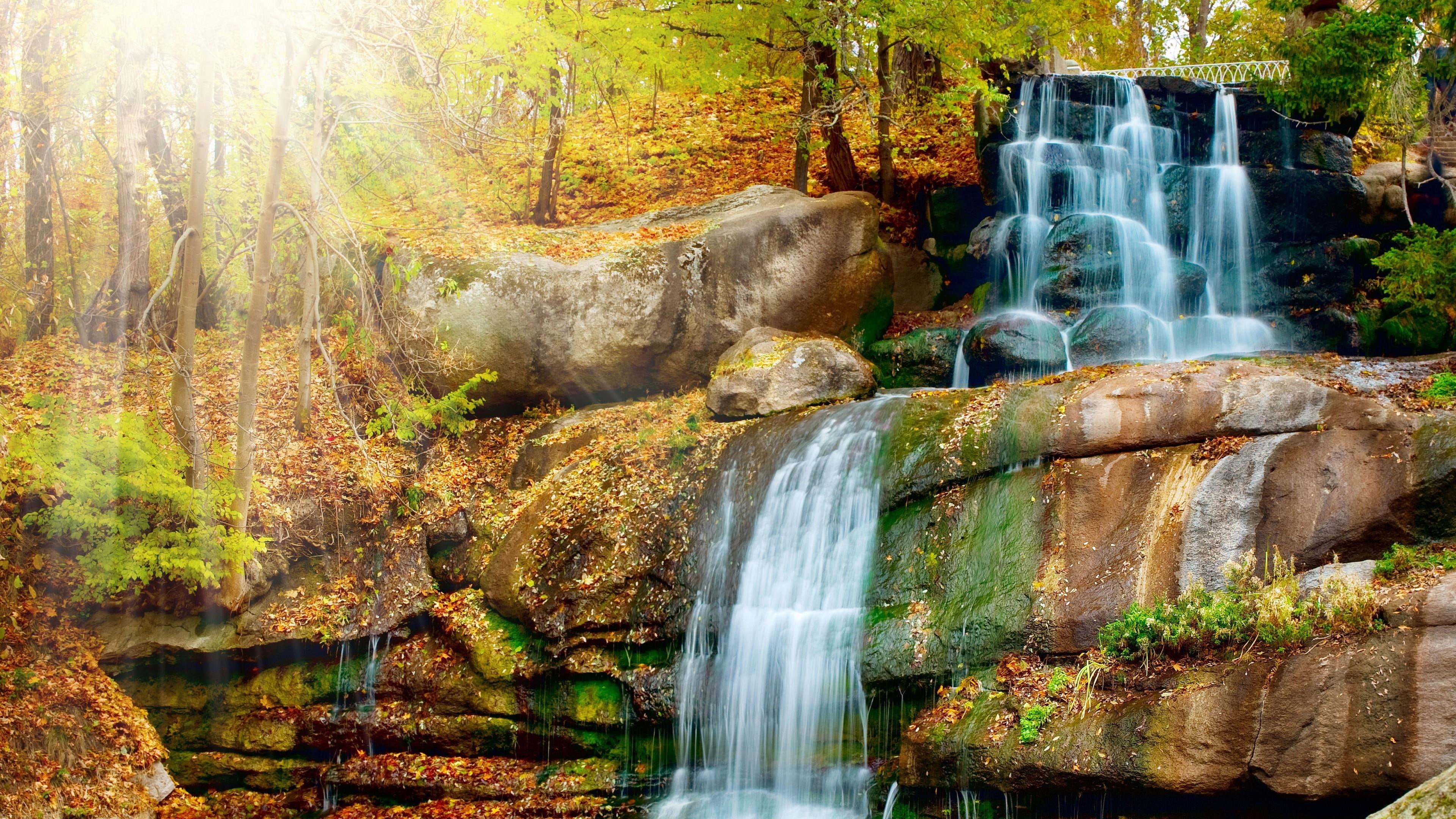 trees, waterfall, forest, cascade, 4K, rocks, sunray, HD Wallpaper