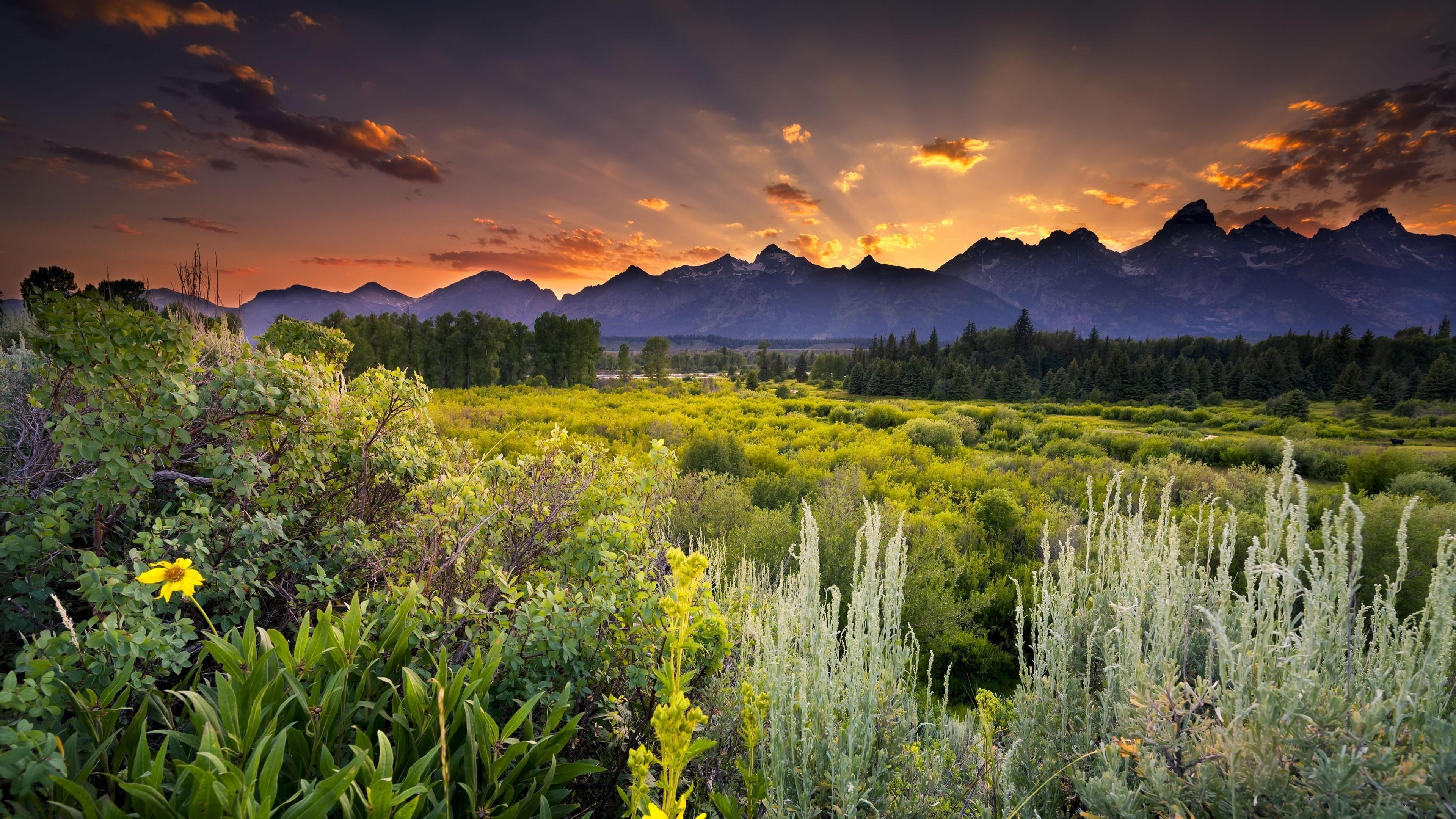 mountains, 4K, sunset, united states, evening, trees, wyoming, sunray, usa, sky, landscape, HD Wallpaper