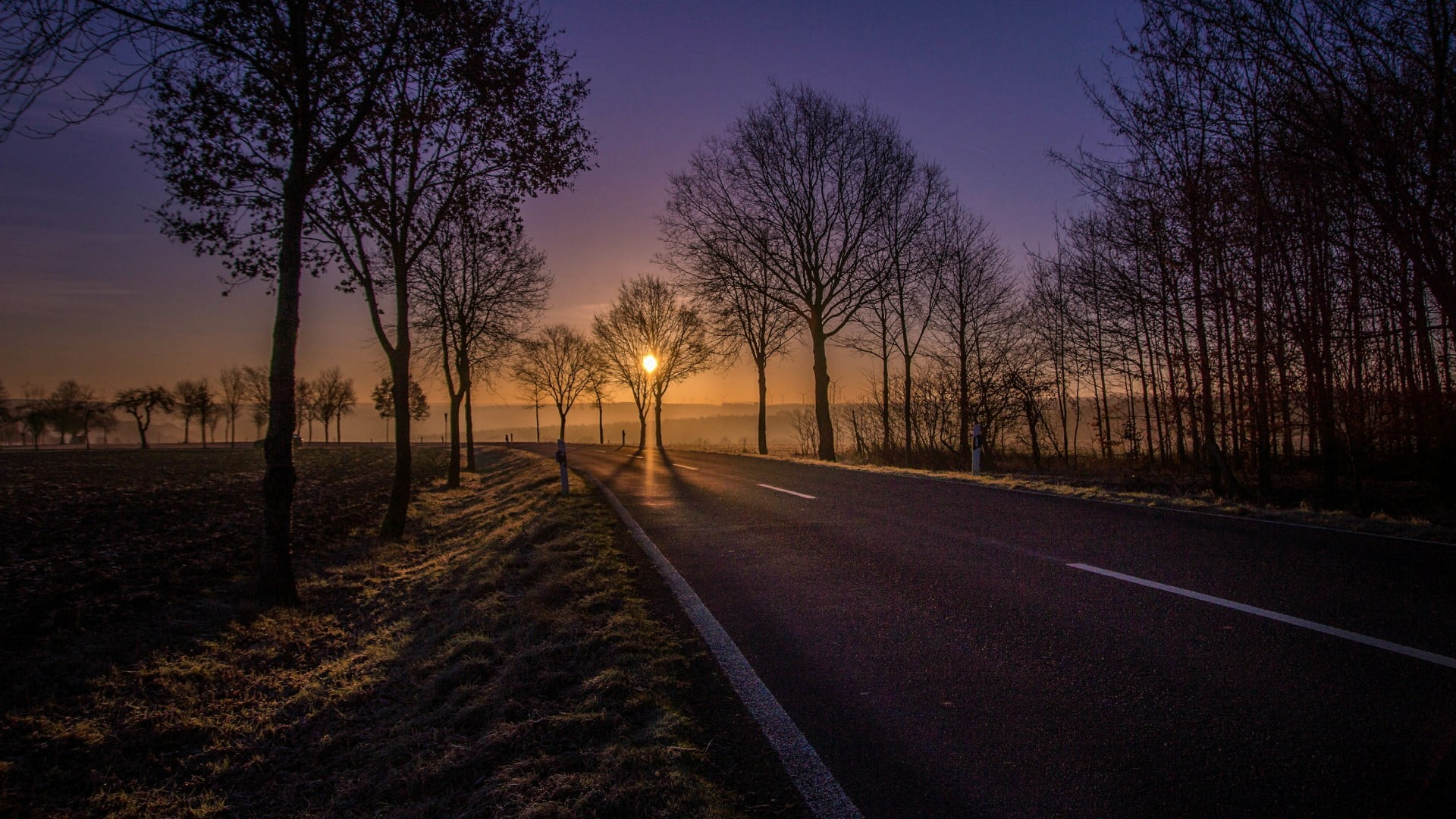 tranquil scene, nature, scenics - nature, road, diminishing perspective, outdoors, beauty in nature, dusk, tree, evening, non-urban scene, bare tree, landscape, HD Wallpaper