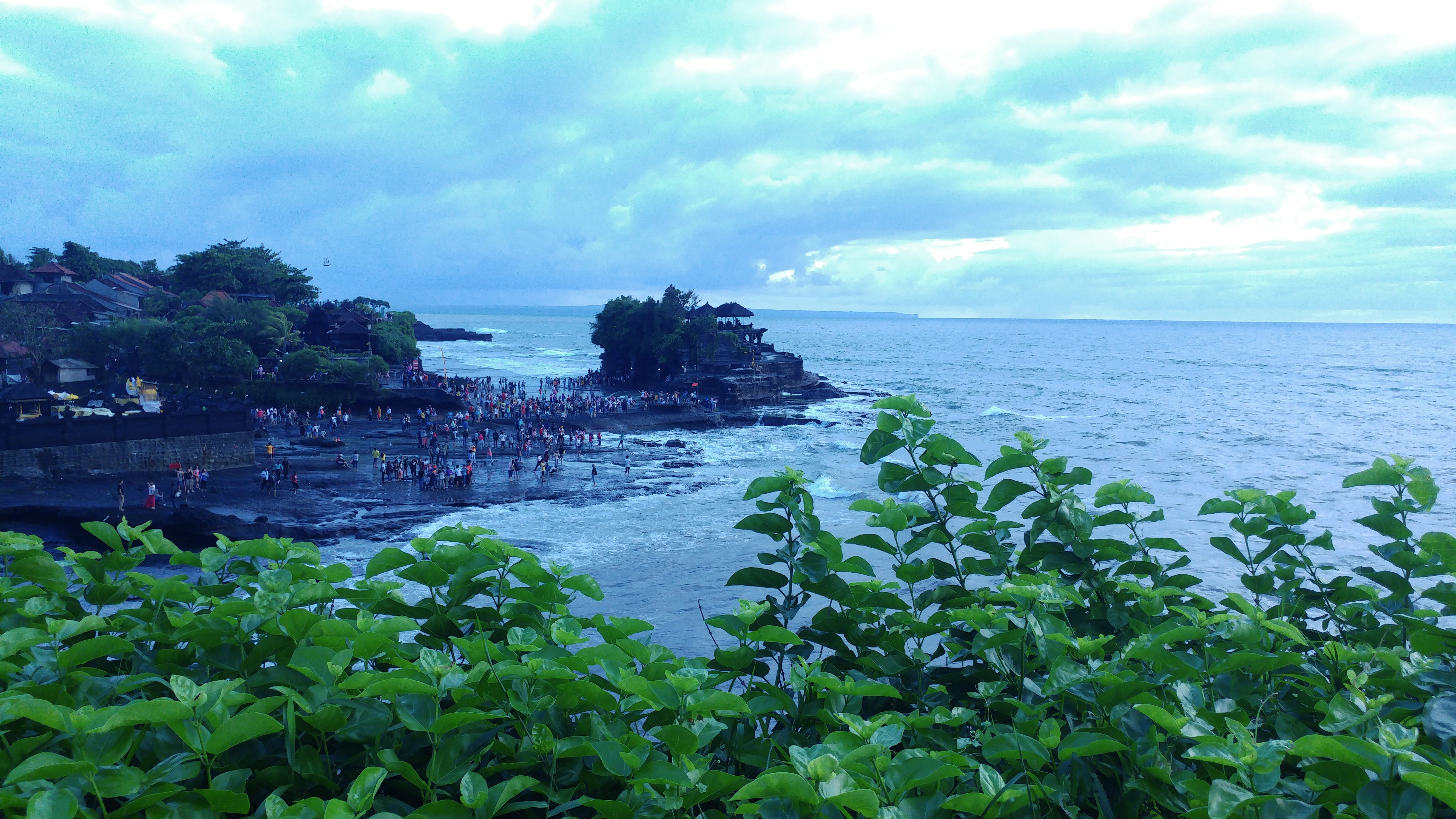 beauty in nature, land, sea, horizon over water, day, scenics - nature, horizon, nature, growth, tranquility, tranquil scene, green color, tanah lot temple, HD Wallpaper