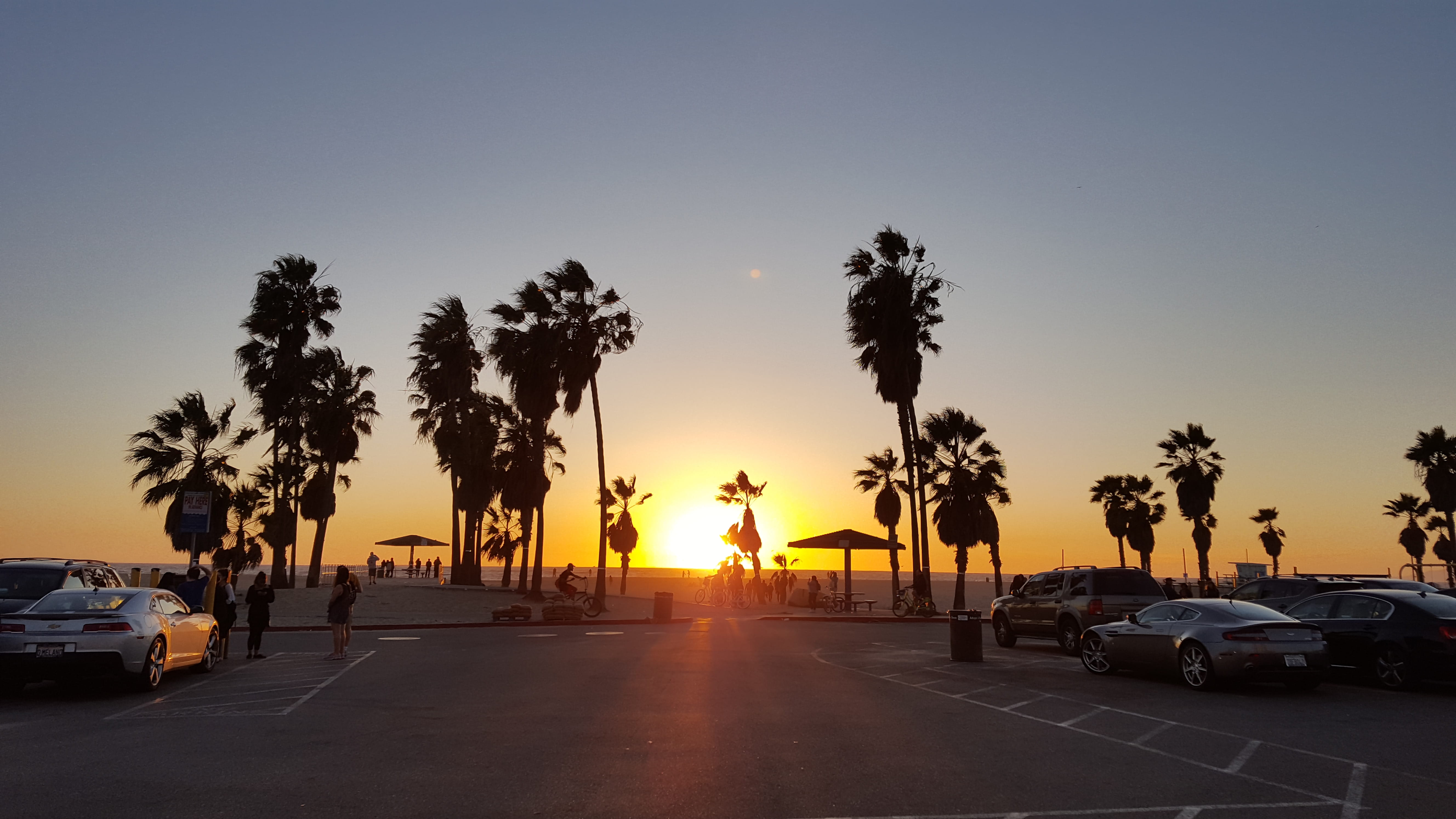 215 ocean front walk, sunset, car, human, street, outdoors, palm tree, 5K, united states, sky, orange color, mode of transportation, tropical climate, HD Wallpaper