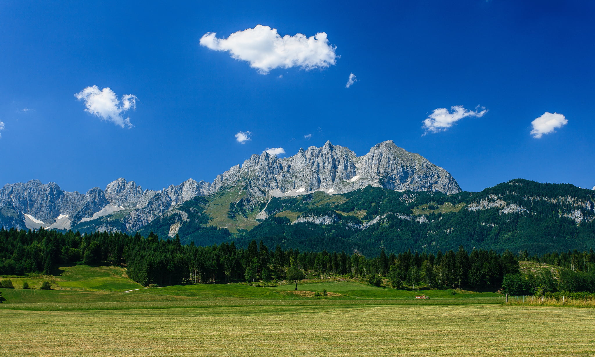 1080P, landscape, plant, blue, nature, green color, tranquility, pine woodland, cloud - sky, tree, coniferous tree, beauty in nature, mountain Wilder Kaiser, HD Wallpaper