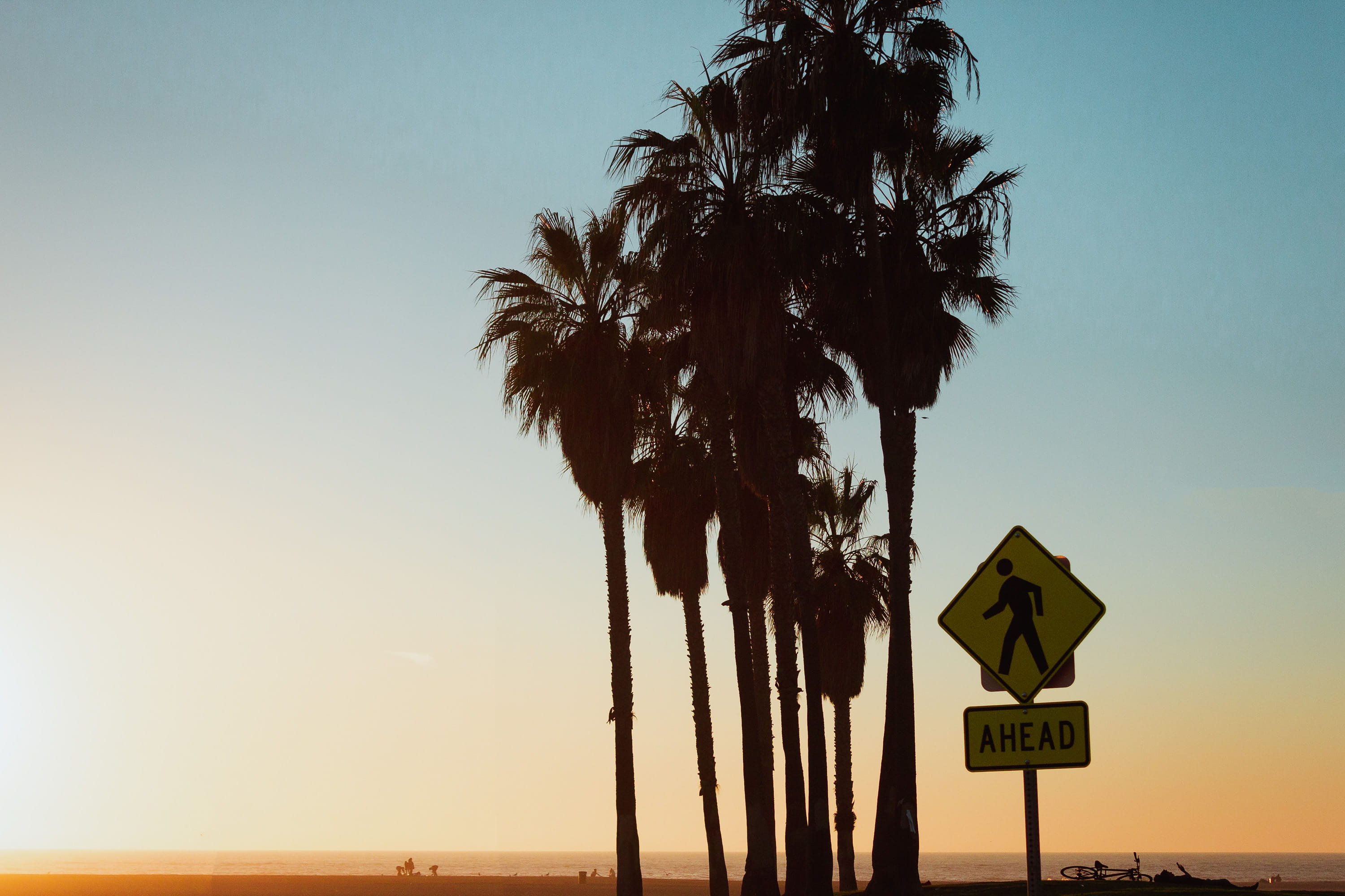 sign, california, no people, communication, road, tree, arecaceae, sun, sky, tropical, venice, road sign, summer, warning sign, guidance, los angeles, text, HD Wallpaper