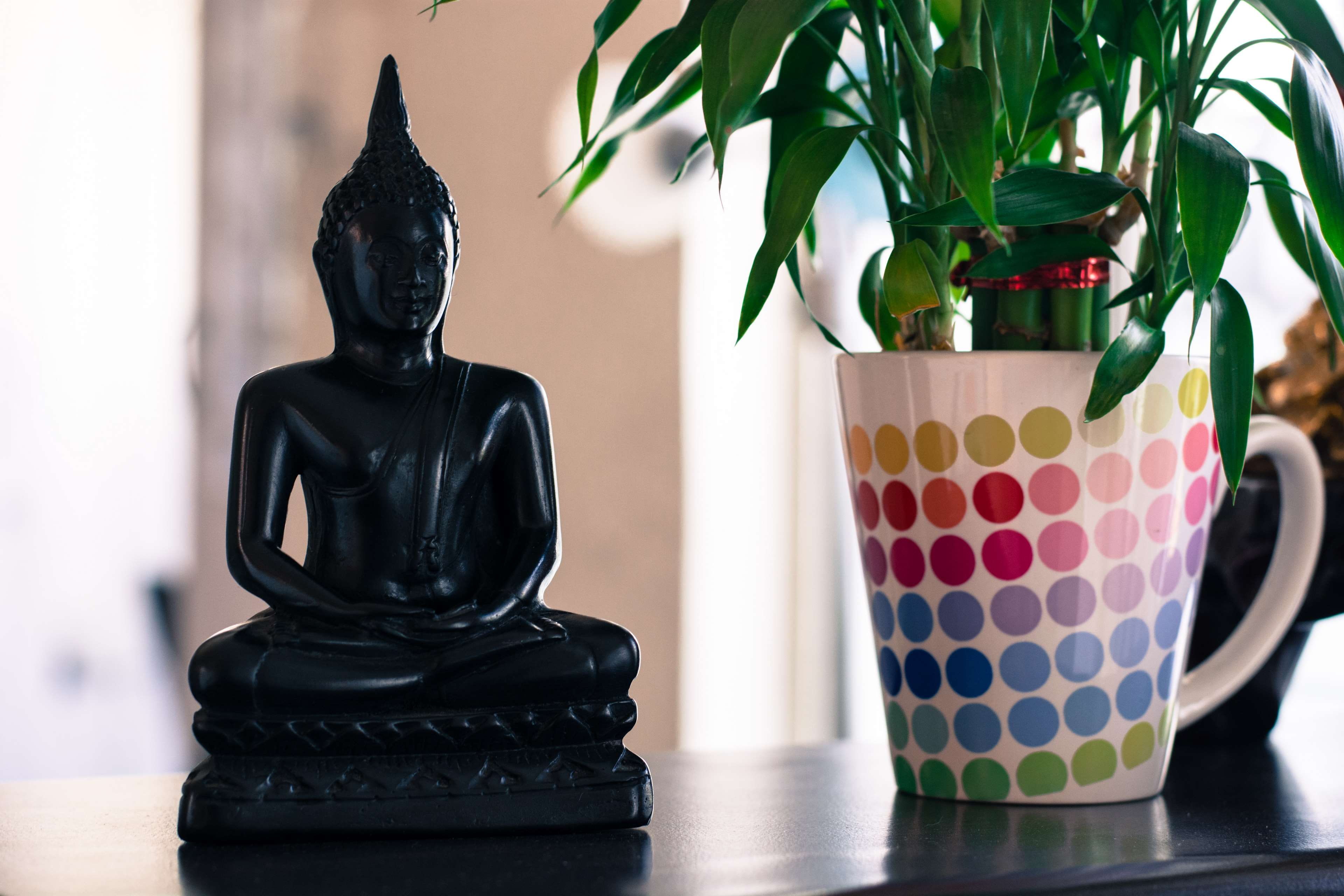 nature, household equipment, leaf, 4K, freshness, creativity, vase, plant, focus on foreground, representation, religion, lord buddha, black color, human representation, HD Wallpaper