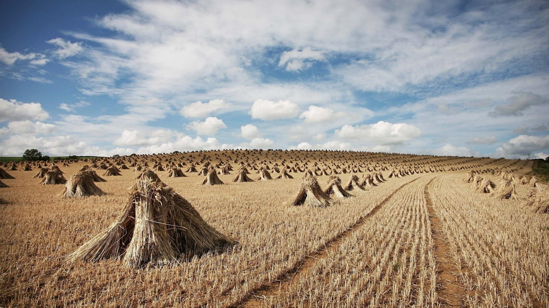 sky, environment, beauty in nature, arid climate, nature, bleu, horizon over land, cloud - sky, agriculture, rural scene, no people, summer, brown, scenics - nature, HD Wallpaper