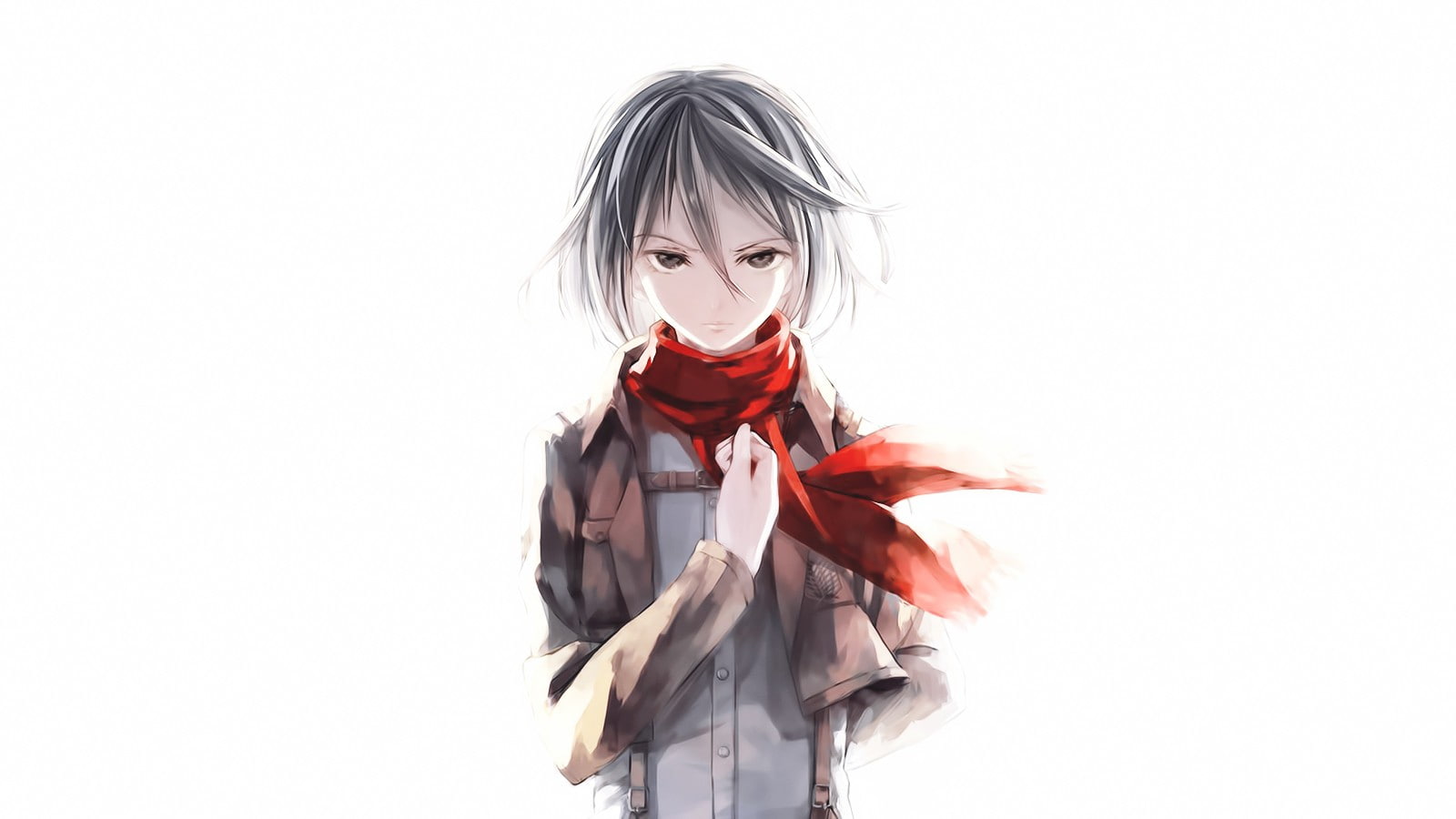 human hair, Mikasa Ackerman, women, copy space, hair, adult, portrait, anime, females, beautiful woman, Shingeki no Kyojin, cut out, child, beauty, 720P, HD Wallpaper