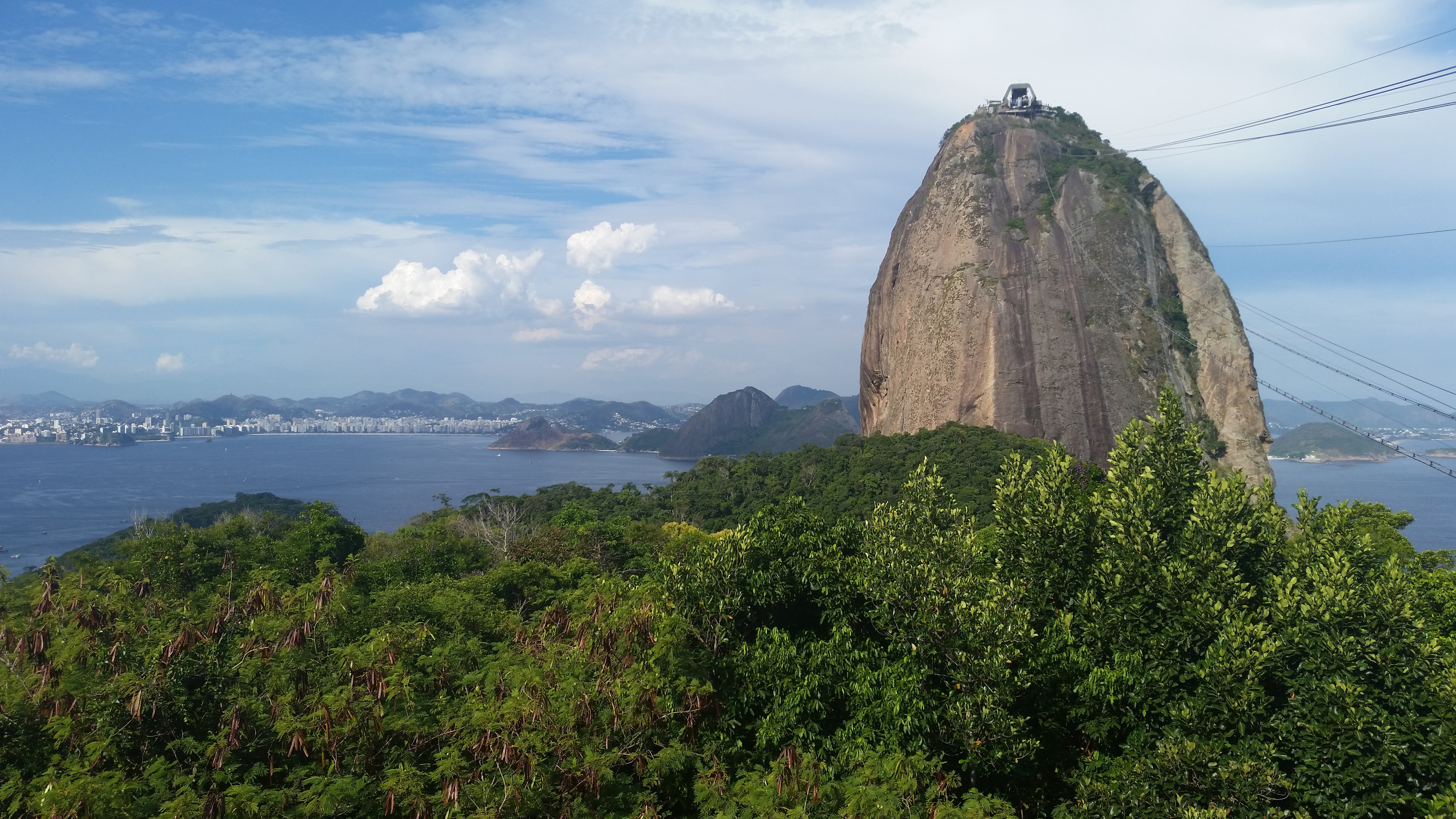 plant, 5K, mar, growth, sea, water, land, cable car, tree, no people, cloud - sky, environment, mountain, rio de janeiro, sugar loaf pão de açúcar, nature, HD Wallpaper