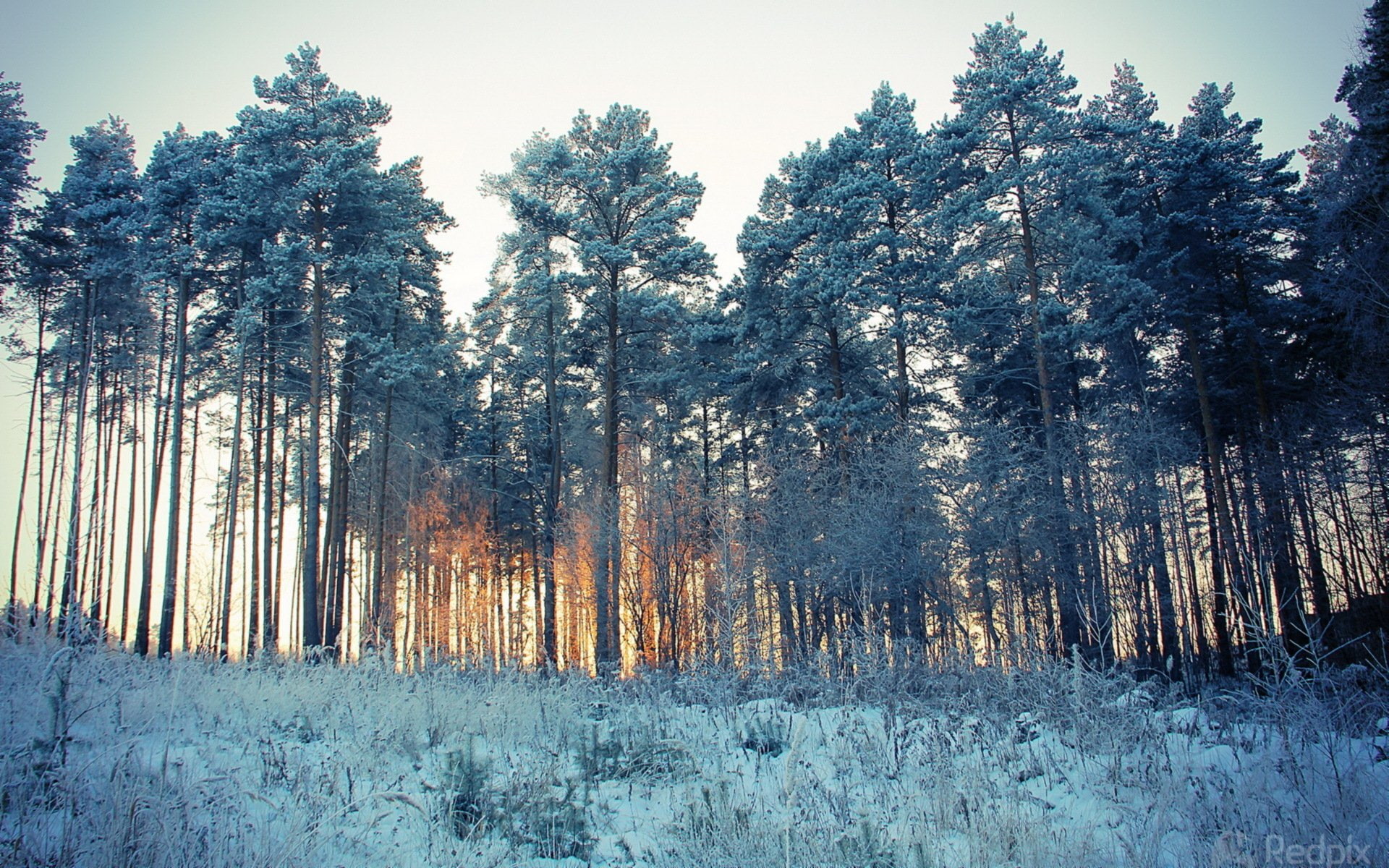 nature, beautiful, look, area, 1080P, landsapes, landscape, view, sky, HD Wallpaper