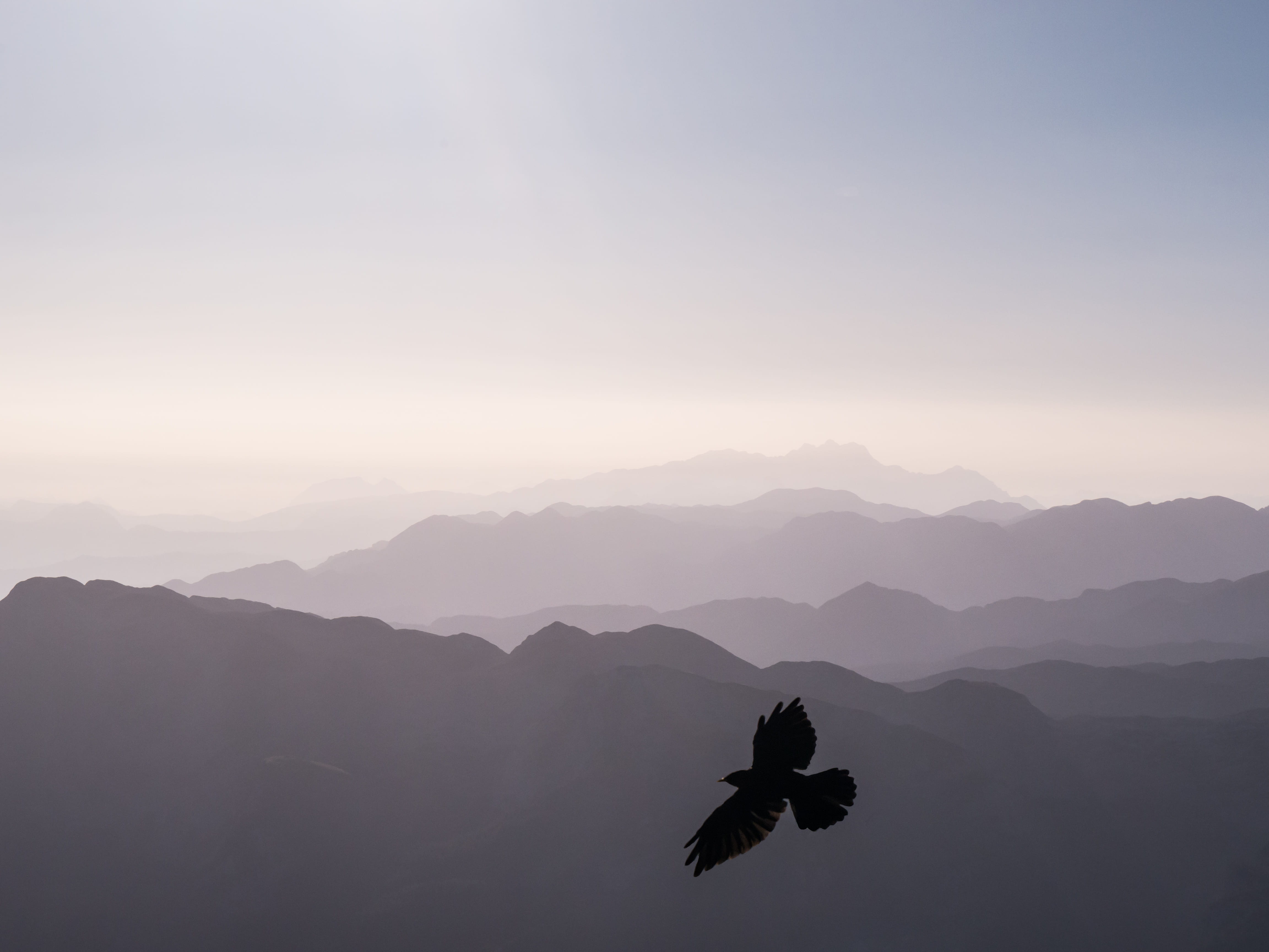 landscape photography, nature, mountain, berchtesgaden, bird, landsape, dawn, mountains, silhouette, scenics, black and white, outdoors, germany, outdoor, HD Wallpaper