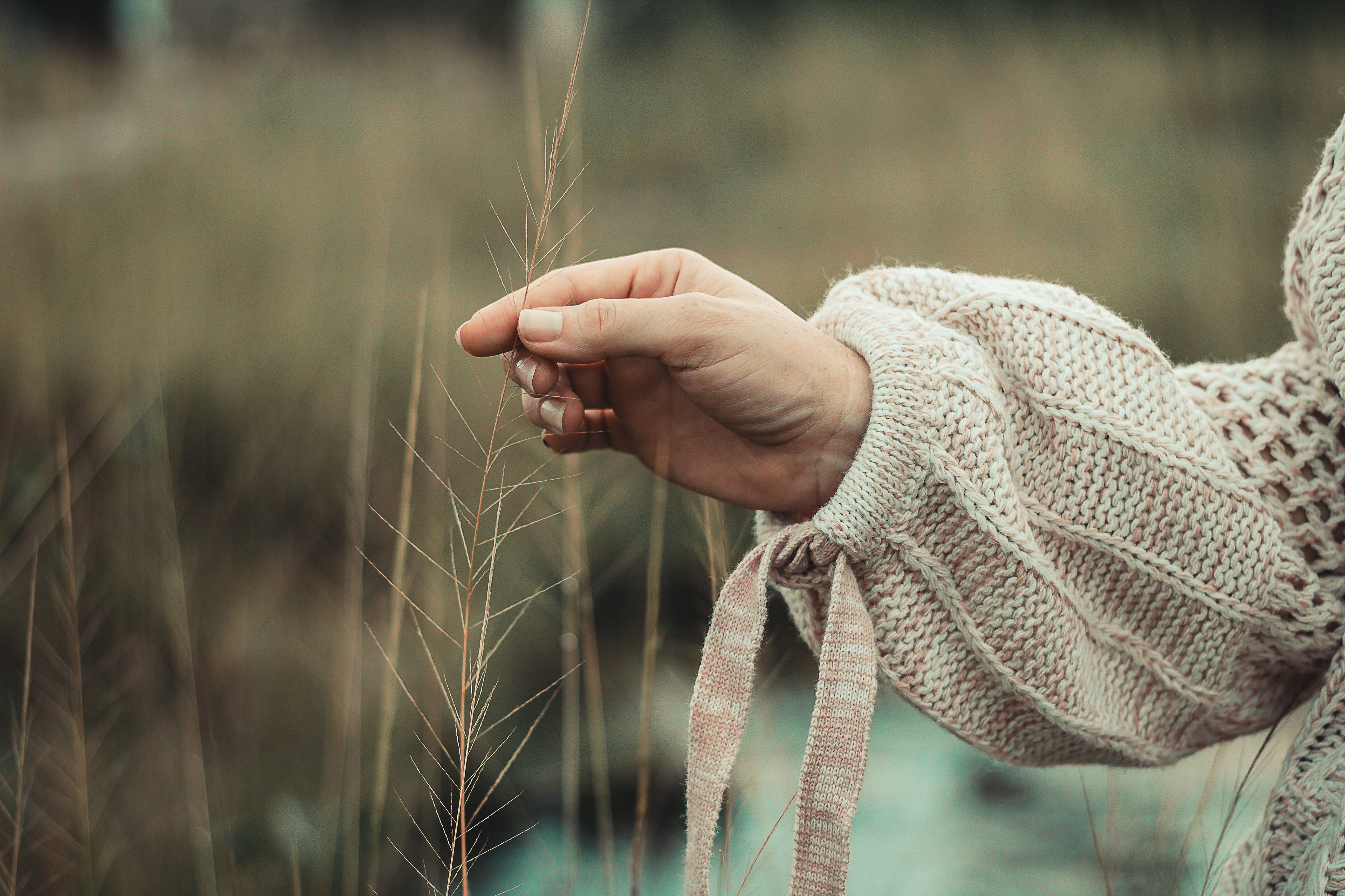 environment, 5K, human body part, day, adult, one person, agriculture, hand, plant, farmer, person, girl, women, daytime, land, holding, focus, female, HD Wallpaper