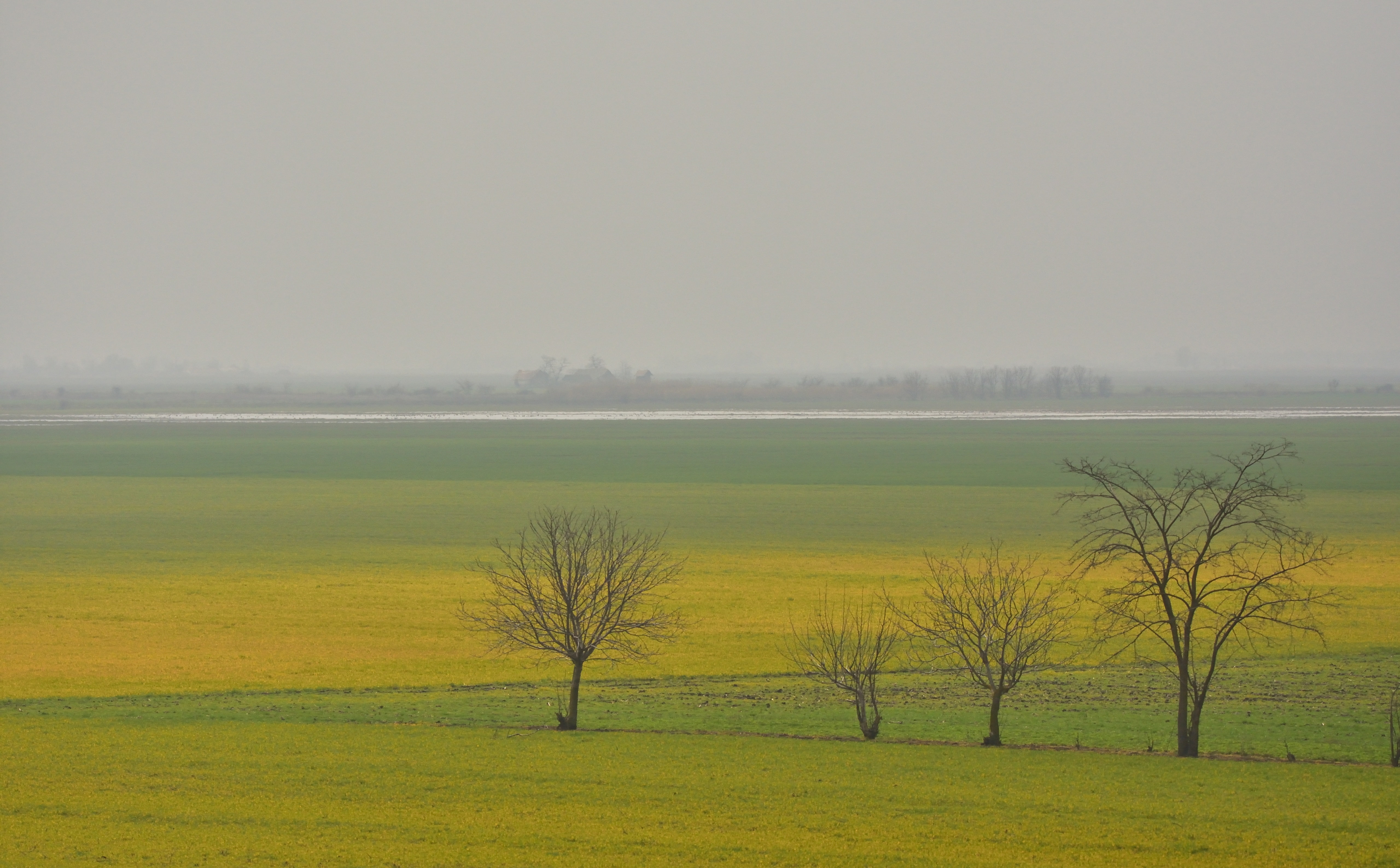 no people, lake, tranquility, water, 5K, scenics - nature, sky, land, grass, Nature, hungarian, plant, environment, non-urban scene, Field, landsape, Landscape, HD Wallpaper