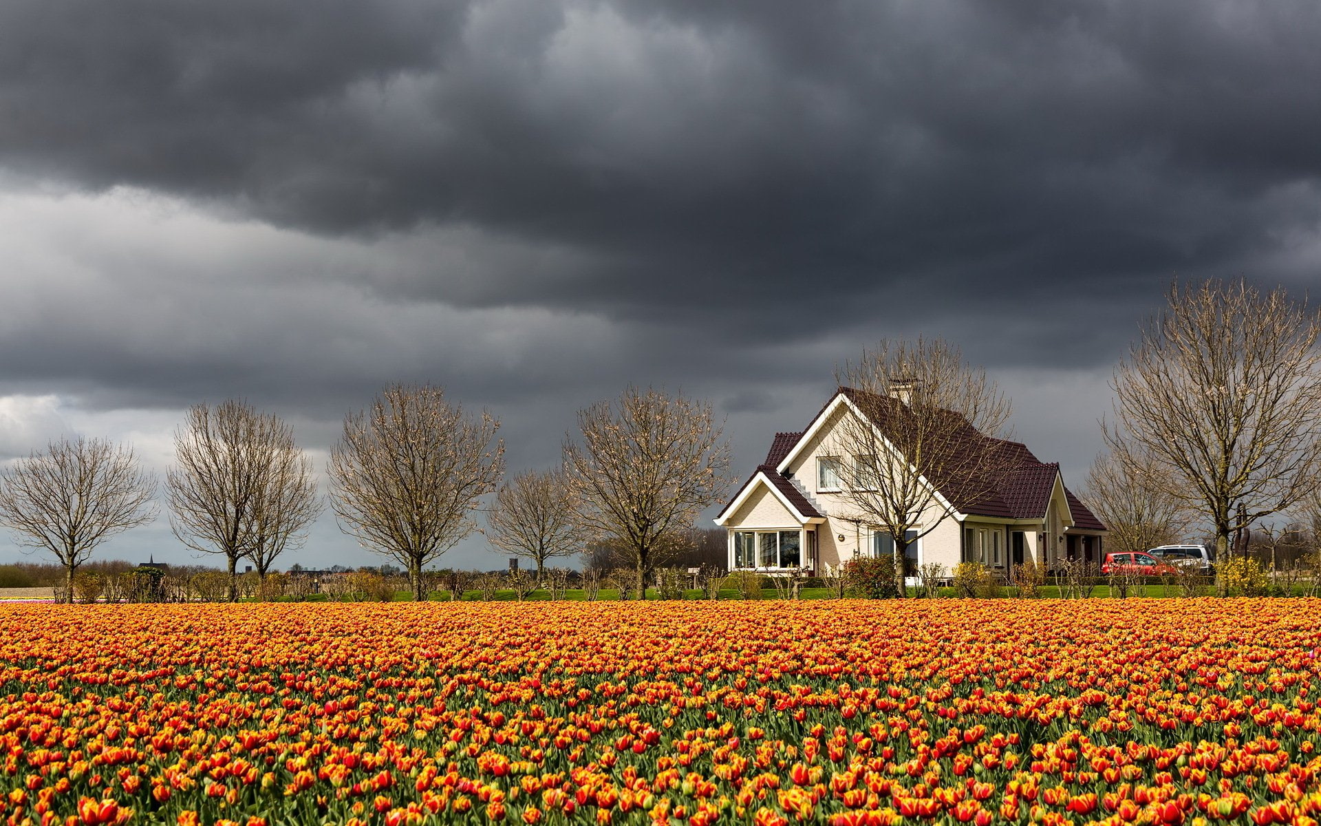area, landscape, view, sky, nature, landsapes, 1080P, beautiful, look, HD Wallpaper